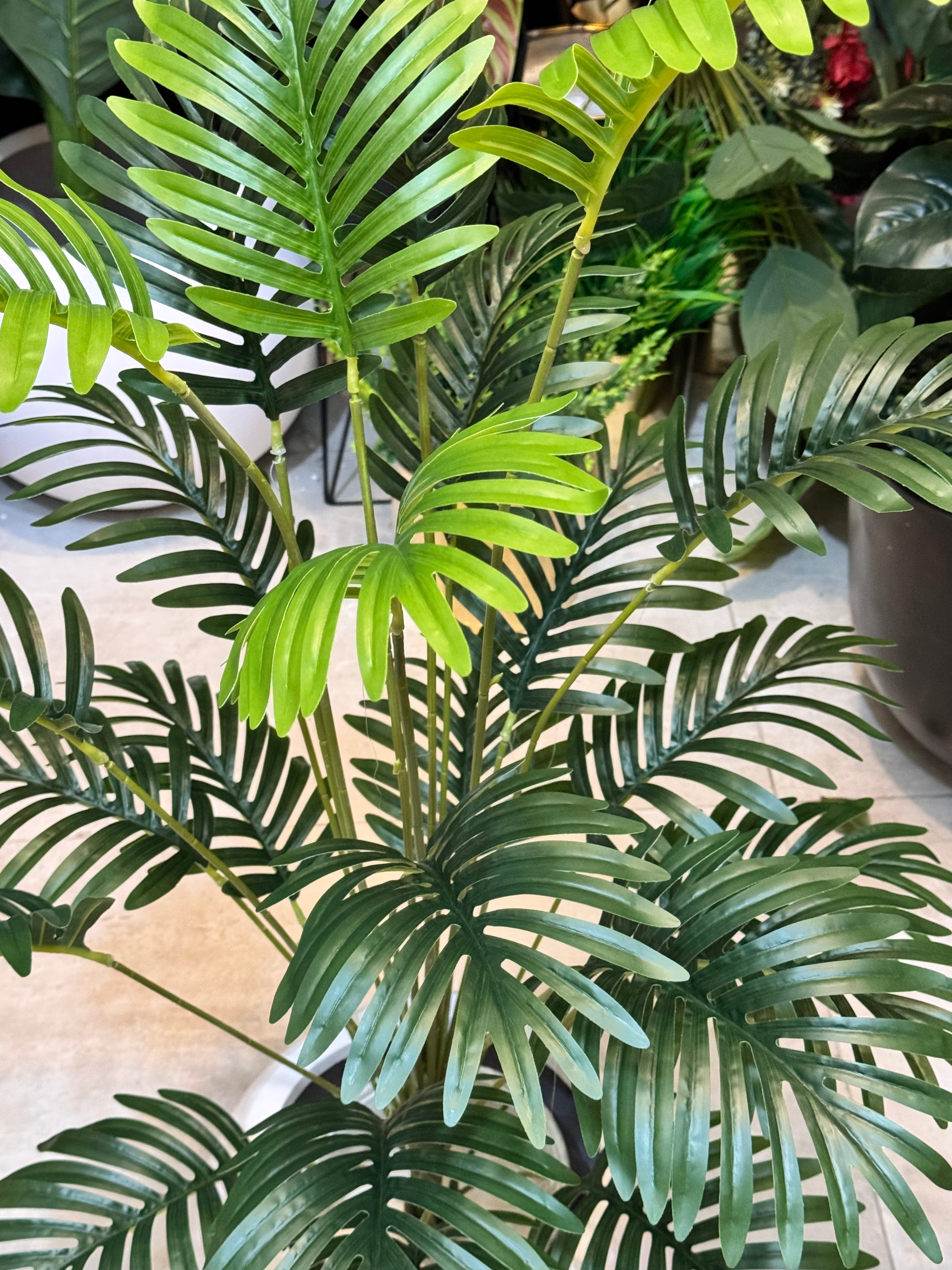 Palm Leaves With Pot