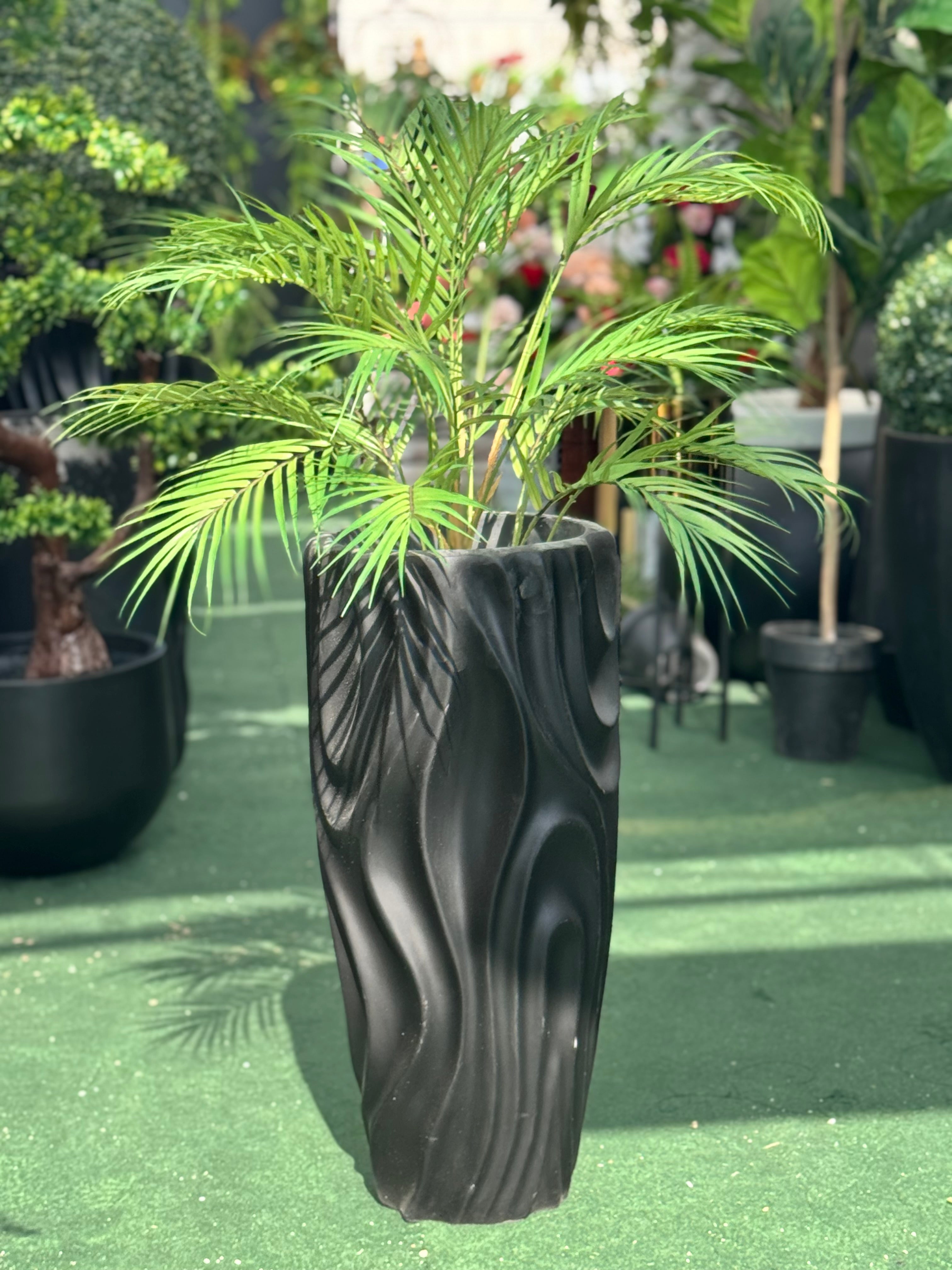 planter palms Exclusive areeca palm with planter – Fantasia Florist