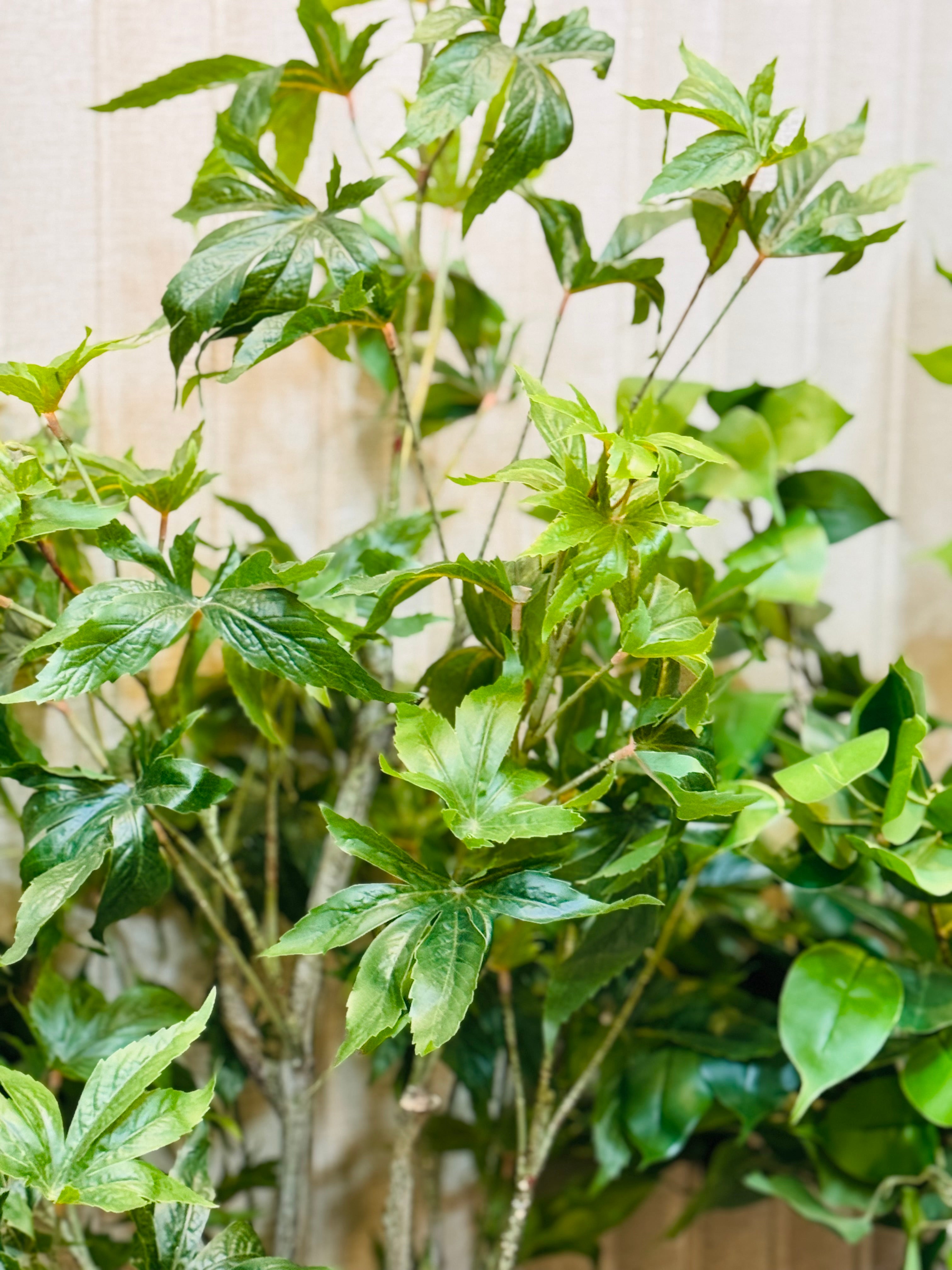 EXCLUSIVE REAL LOOKING PLANTS