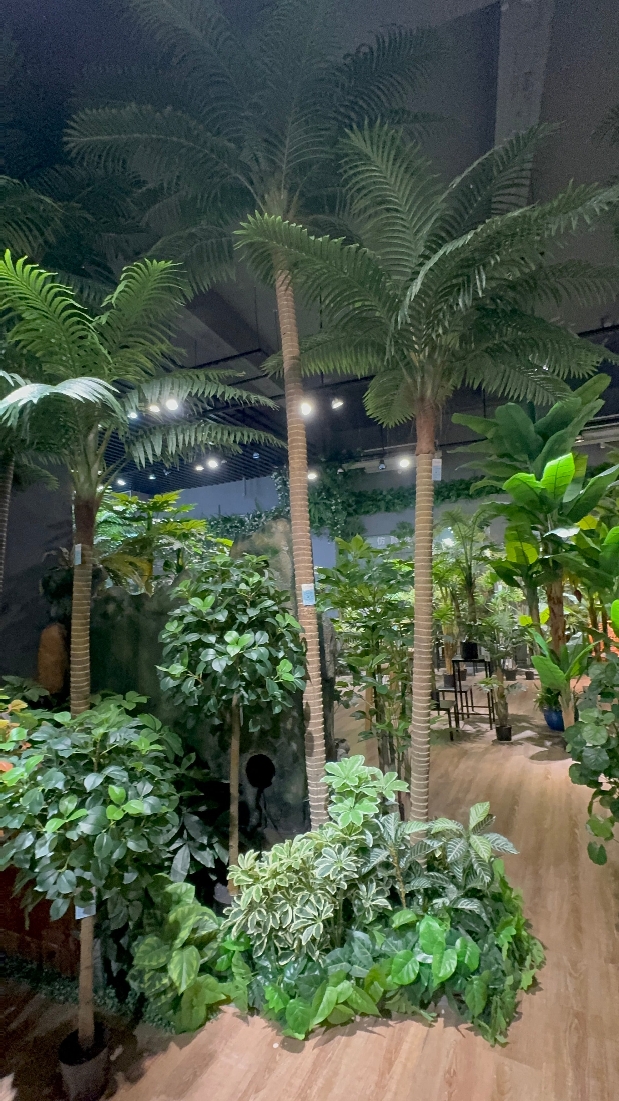COCONUT PALM TREES
