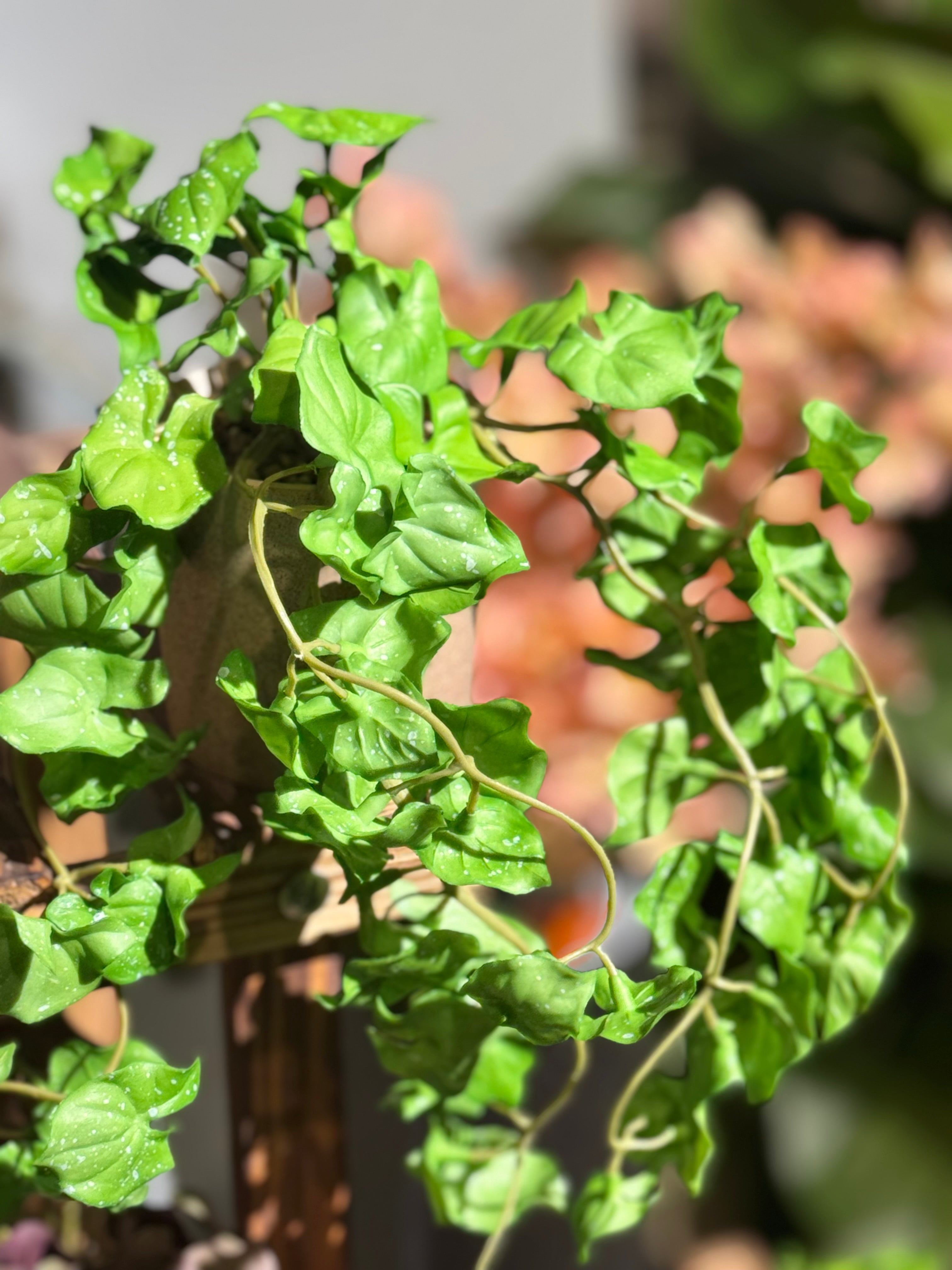 Real Looking hanging plants pot is