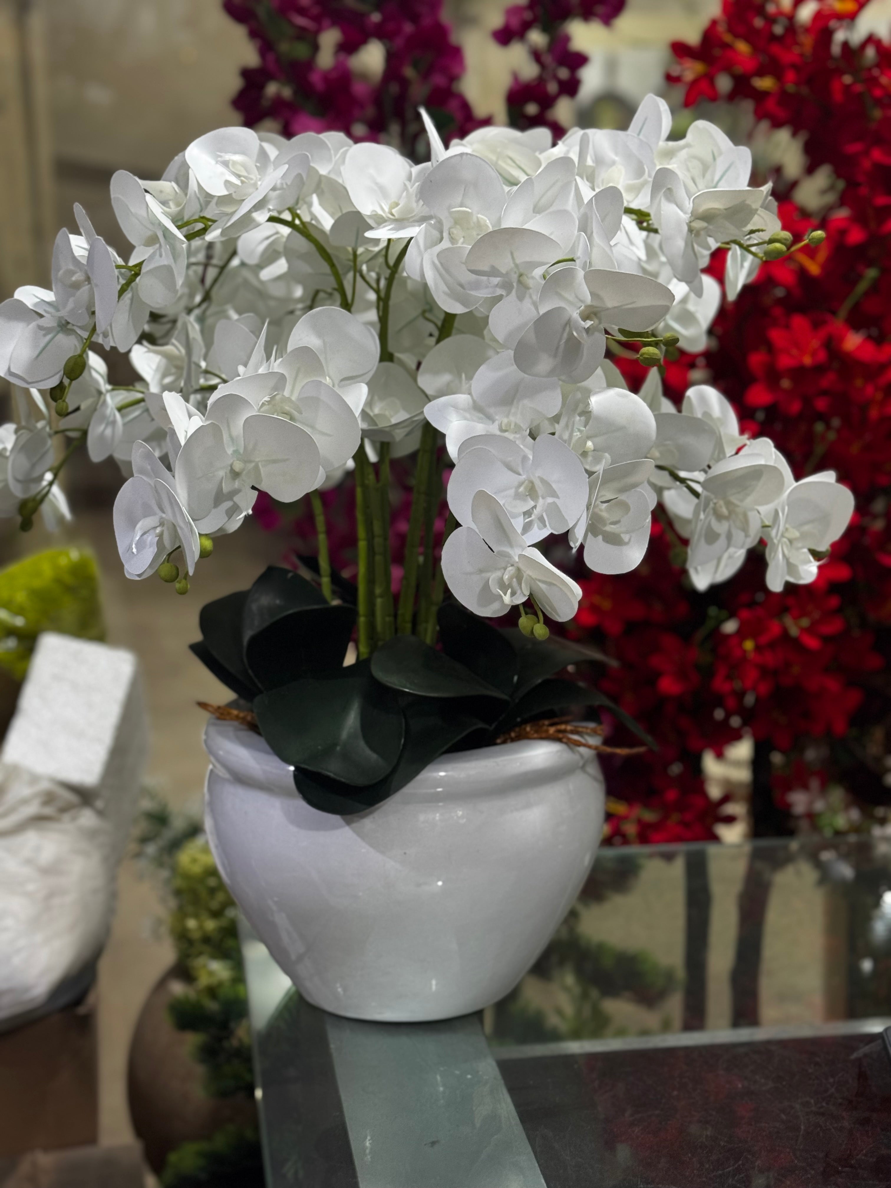 Premium Phalaenopsis ceramic bowl