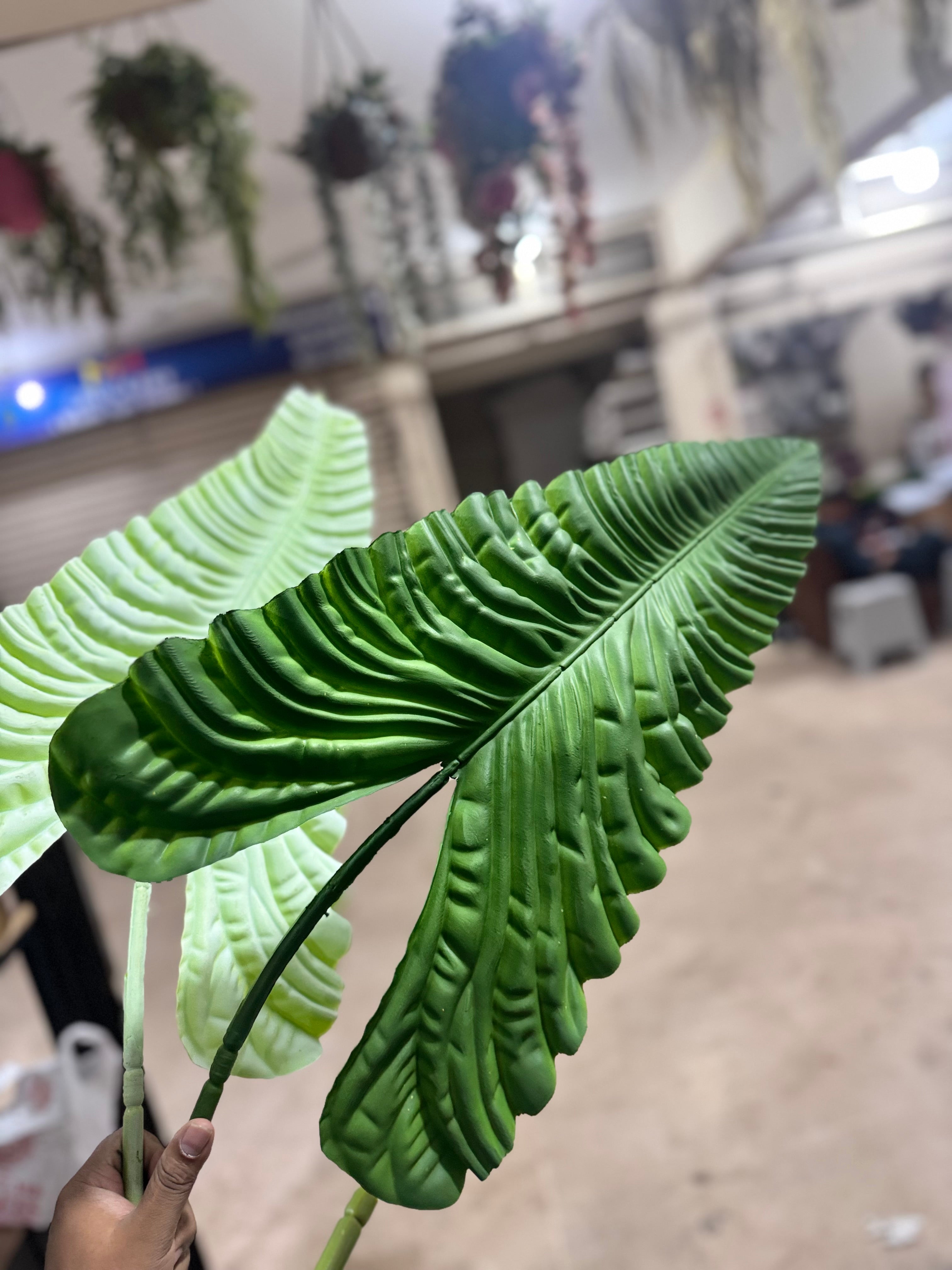 Artificial Calathea Giant Leaf Stem