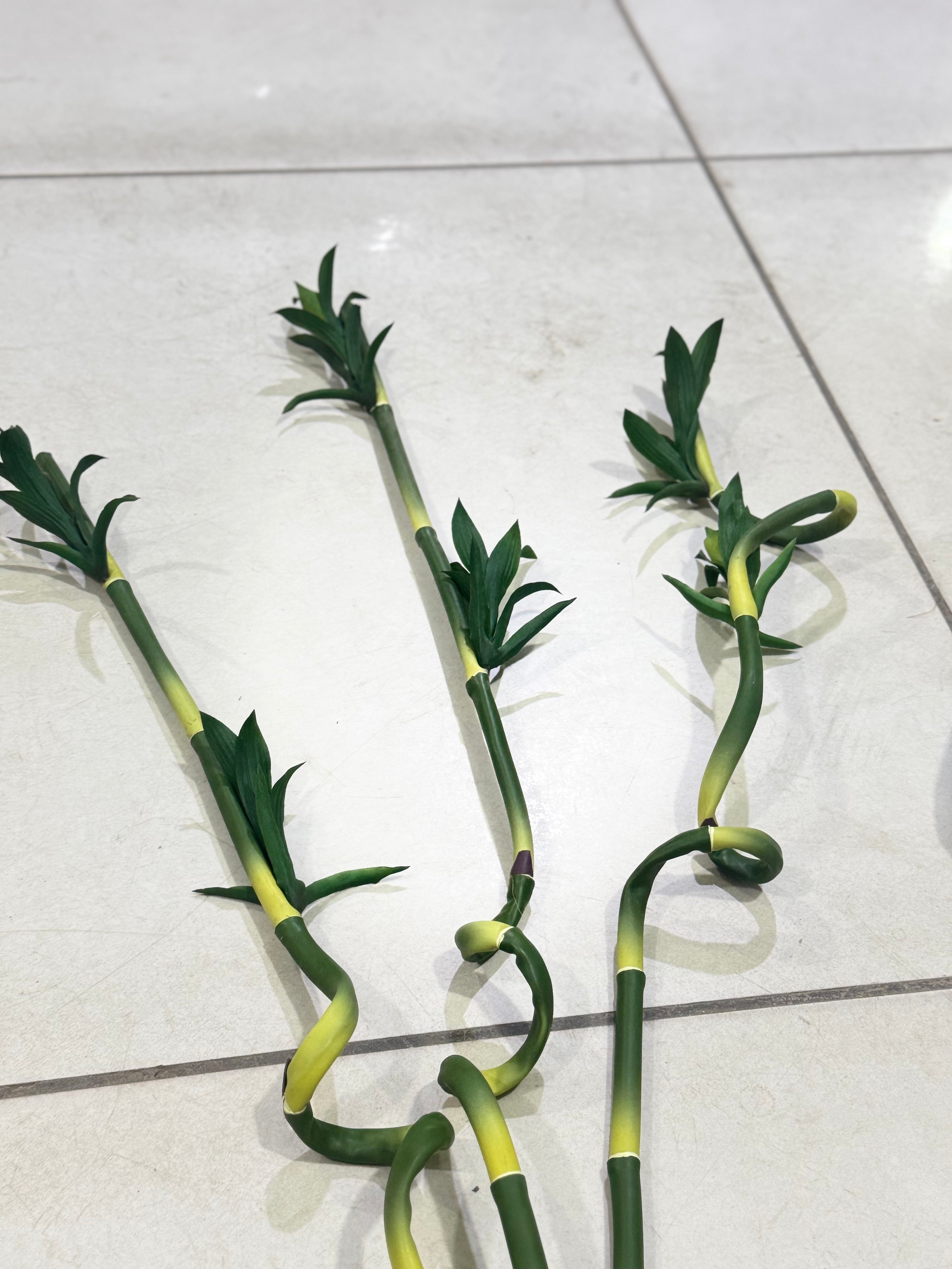 LUCKY BAMBO STEM