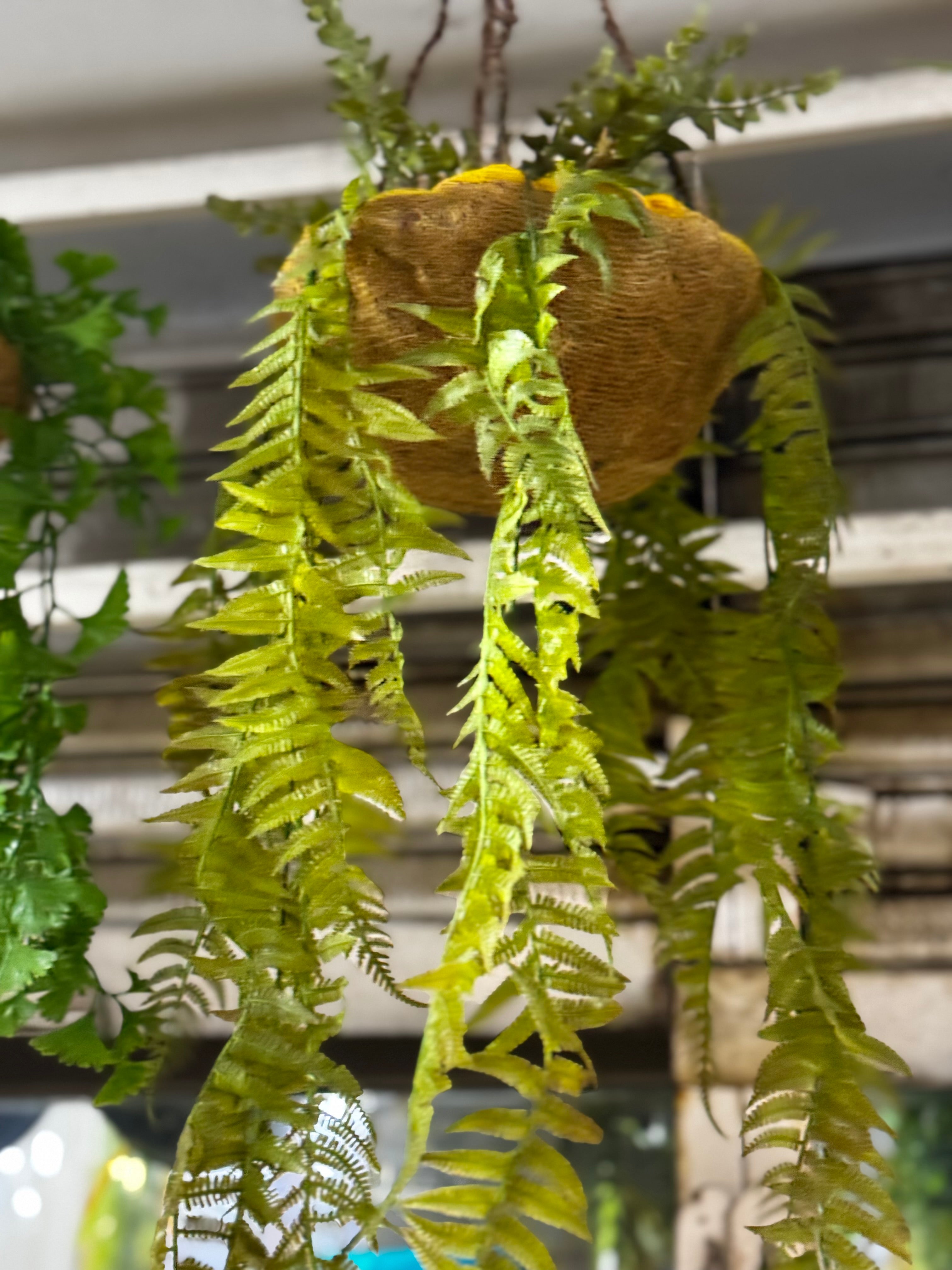 Premium hanging baskets