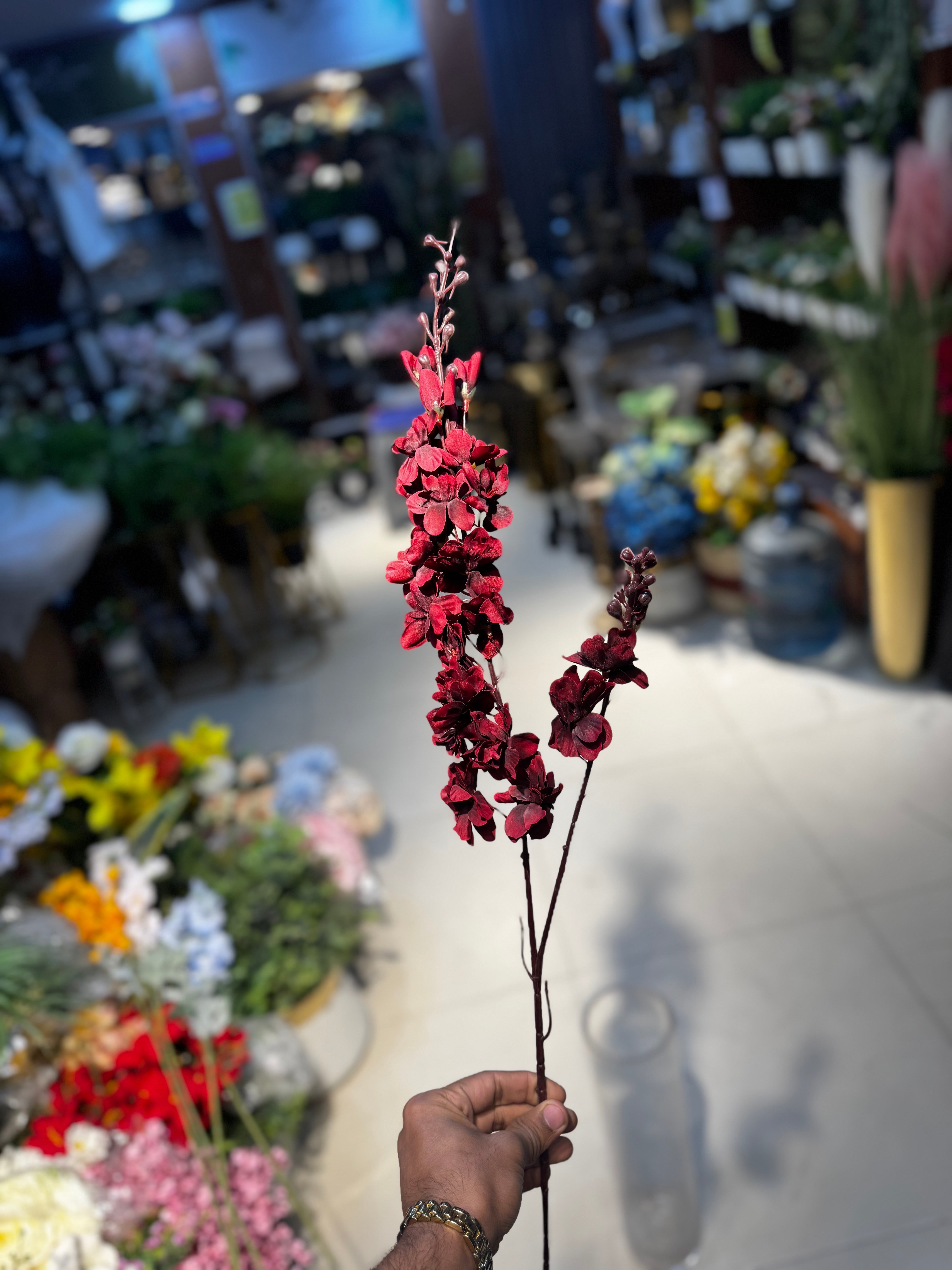 Premium blossoms stems
