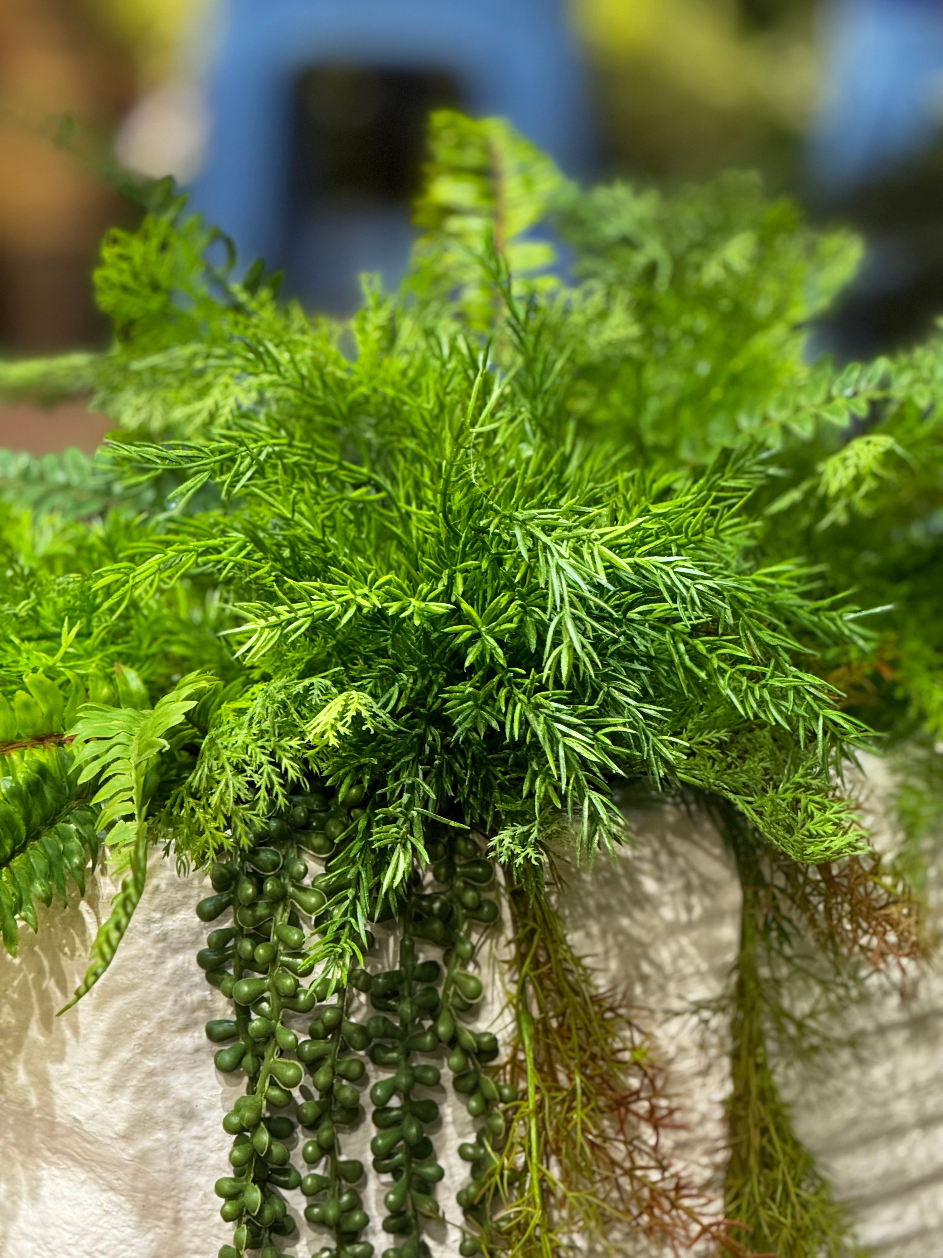 Elysian Face Statement Planter