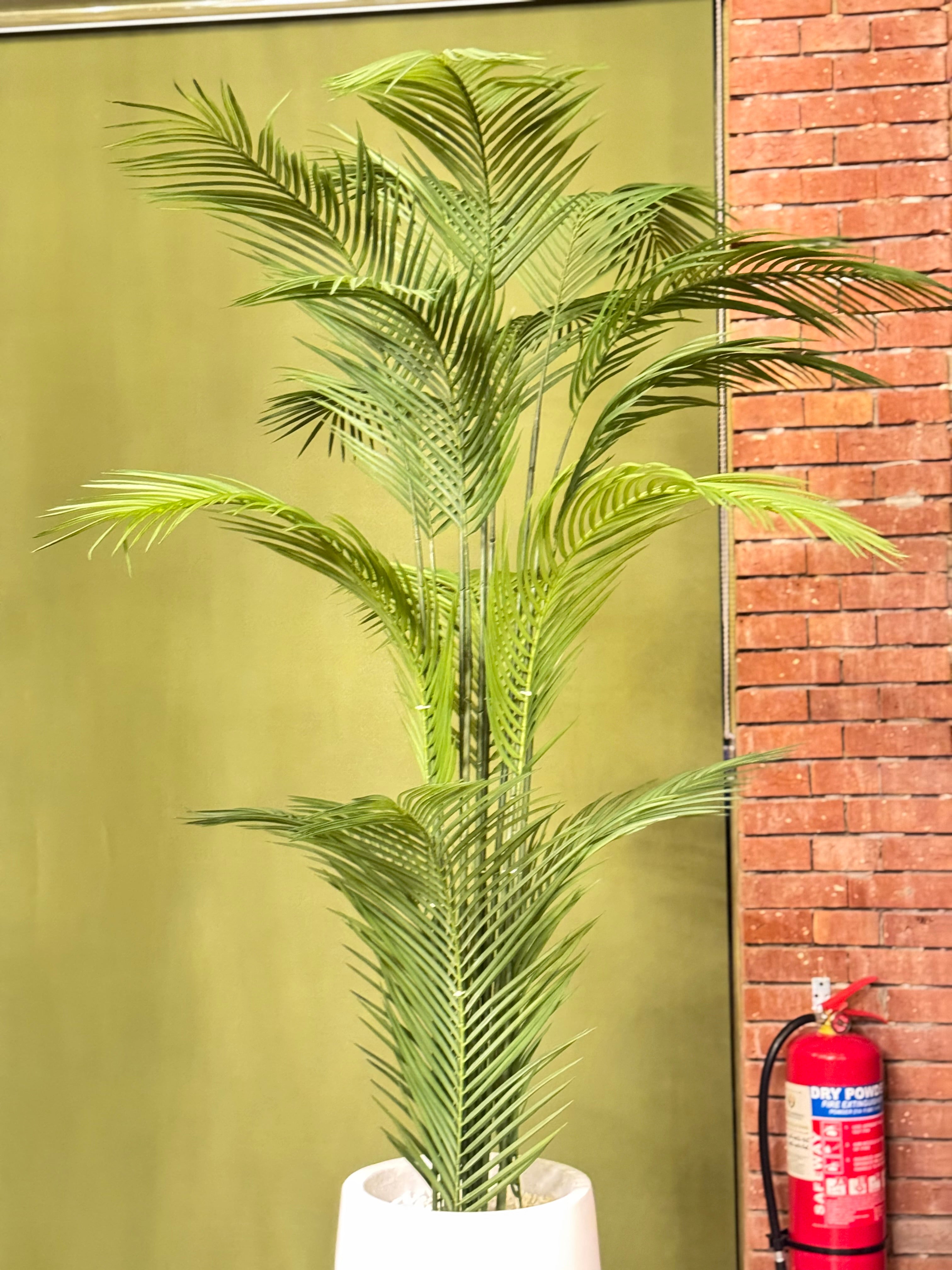 Sleek palm with signature fiberglass planter