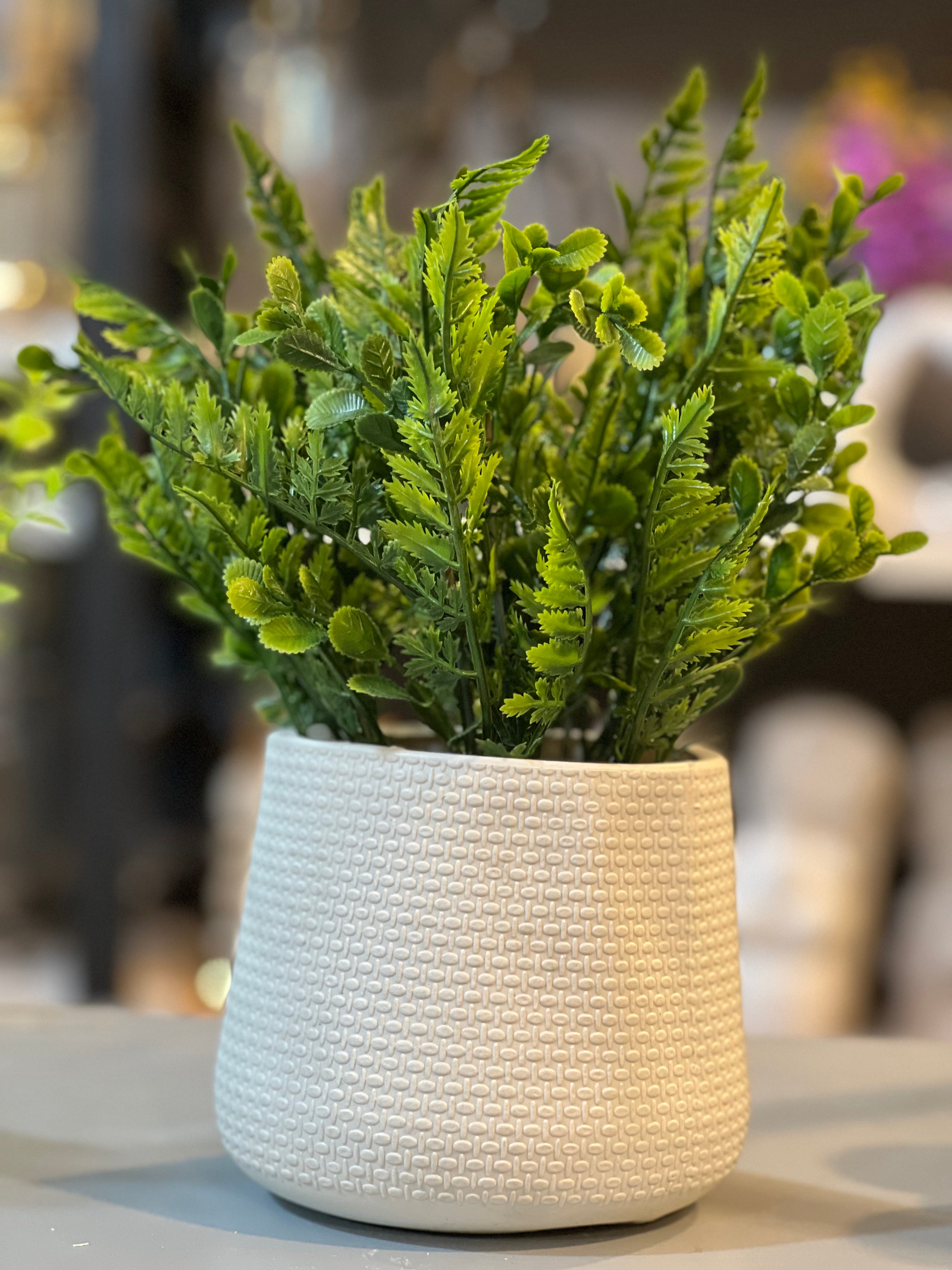 Exclusive fillers pots