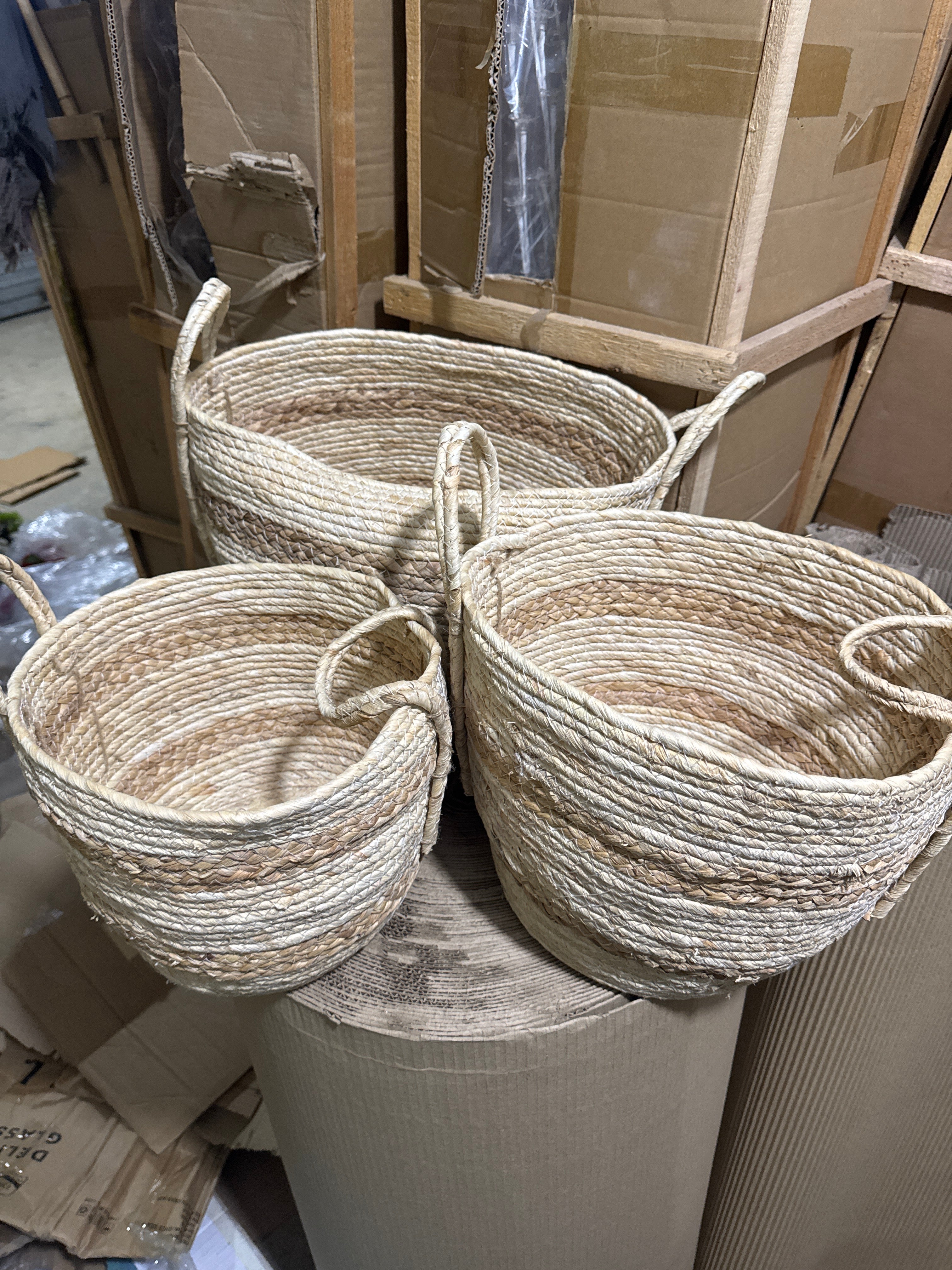 Cane planters