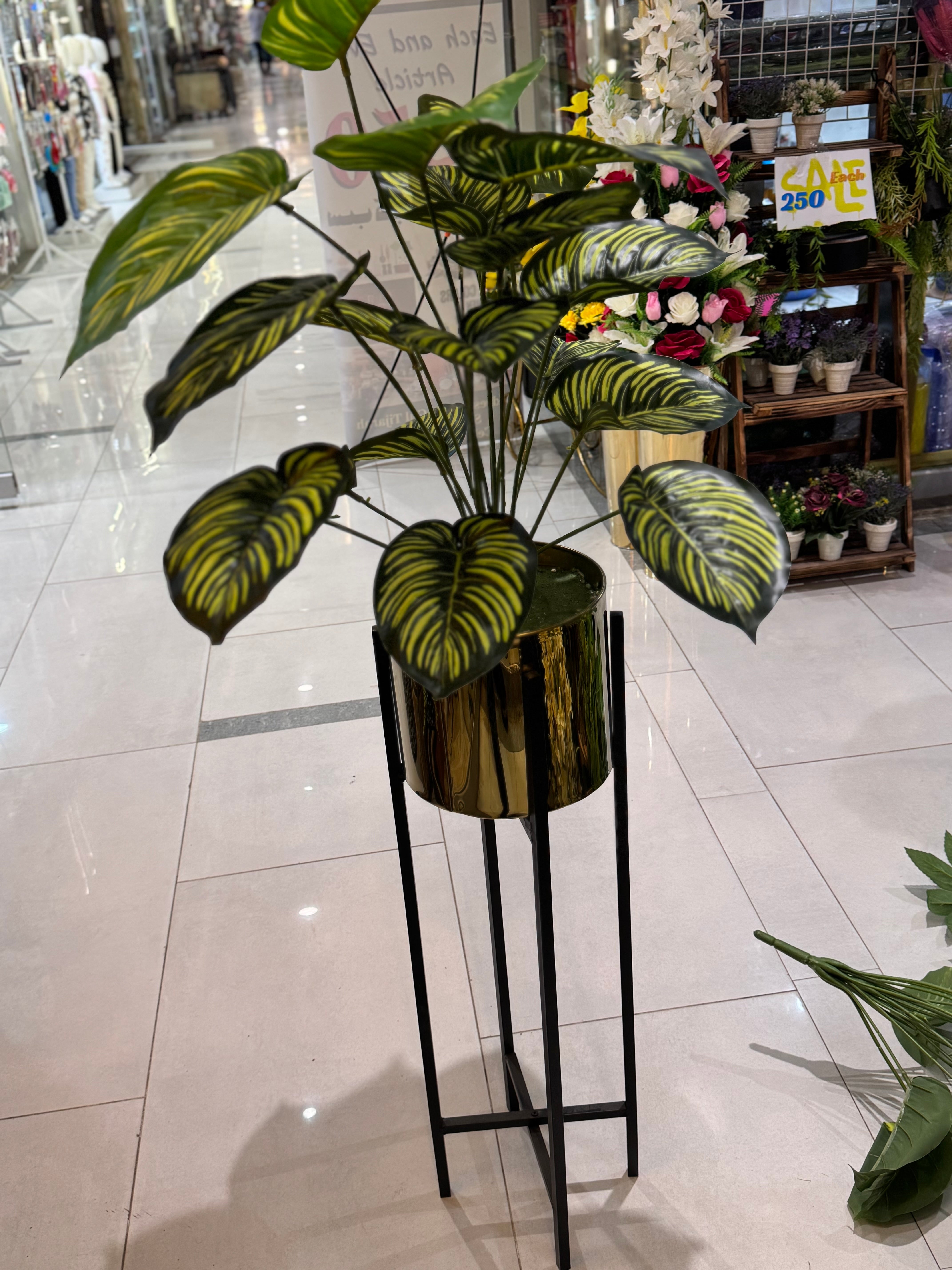 Century stand with plants