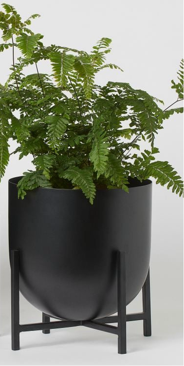 Modern Matt Black Planter with Metal  stand