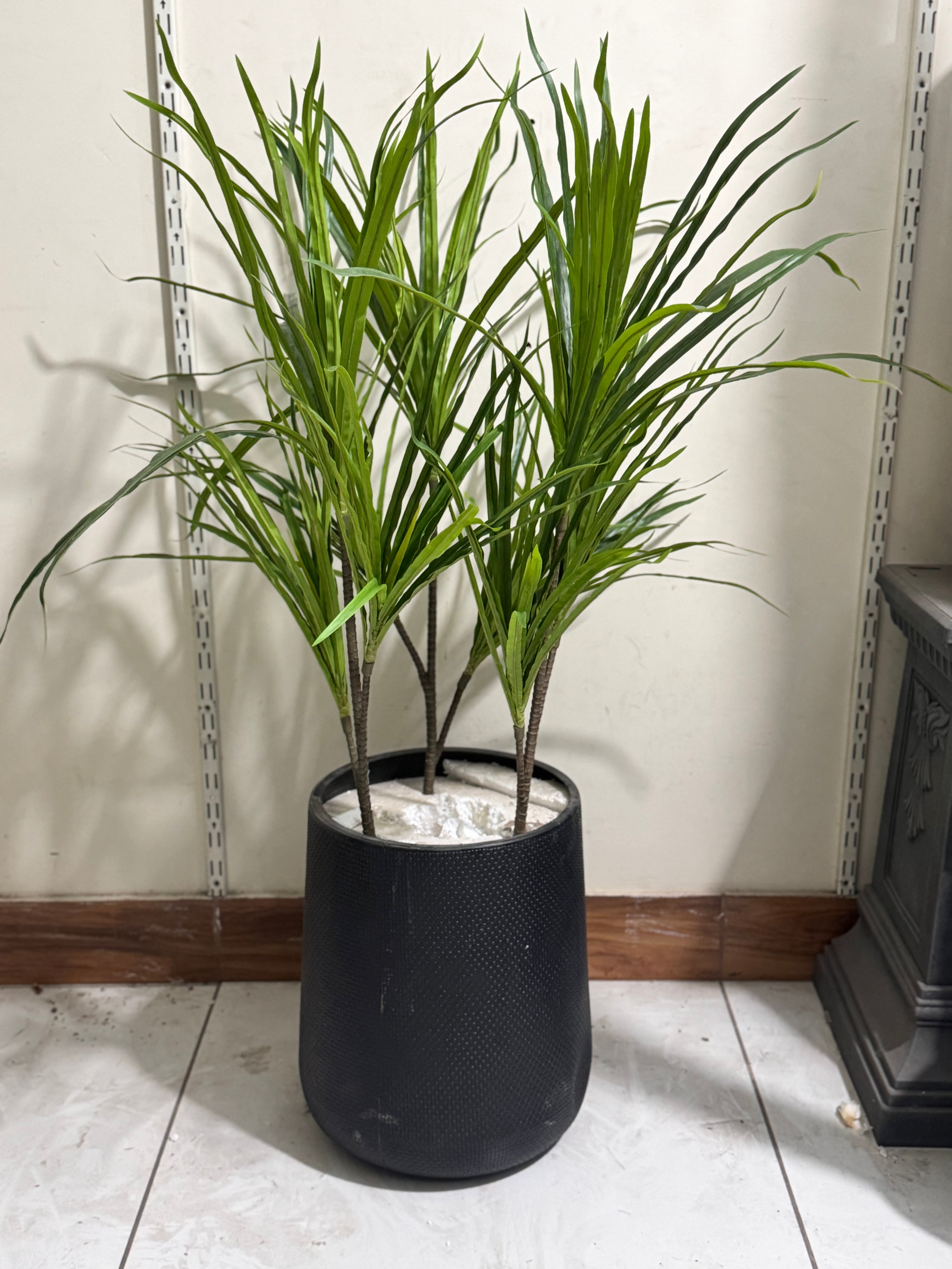 premium dracaena plant Dracaena Plant Stems – Premium Real-Looking – Fantasia Florist
