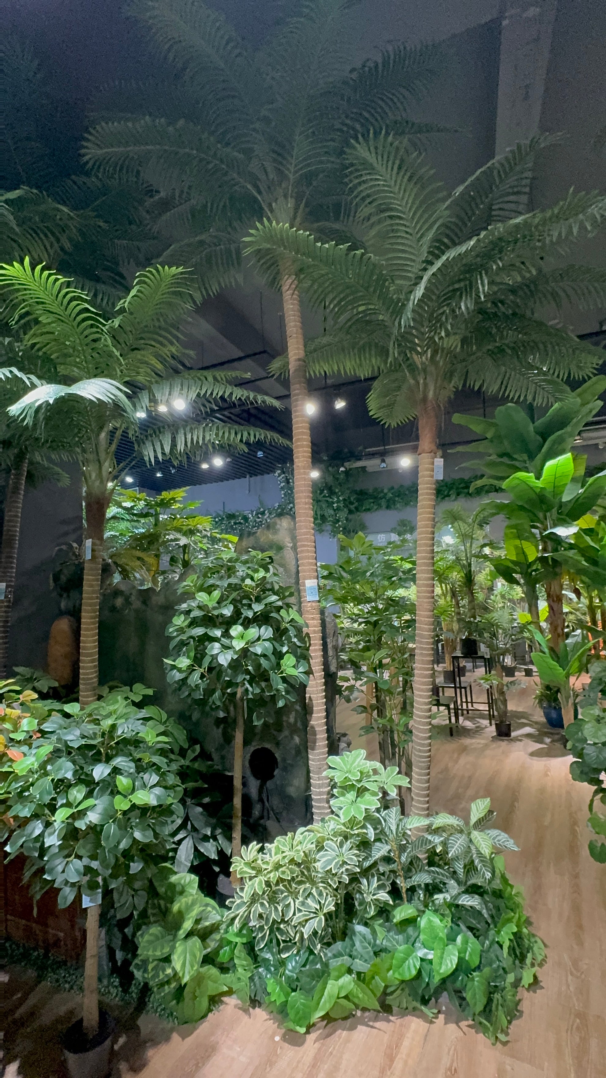 COCONUT PALM TREES