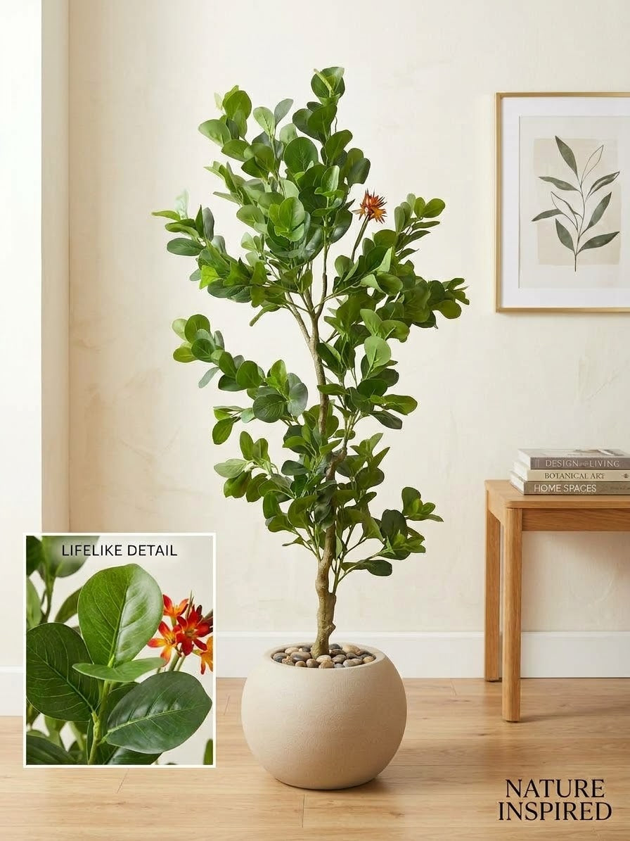 Artificial Clusia Rosea Tree in Round Pot