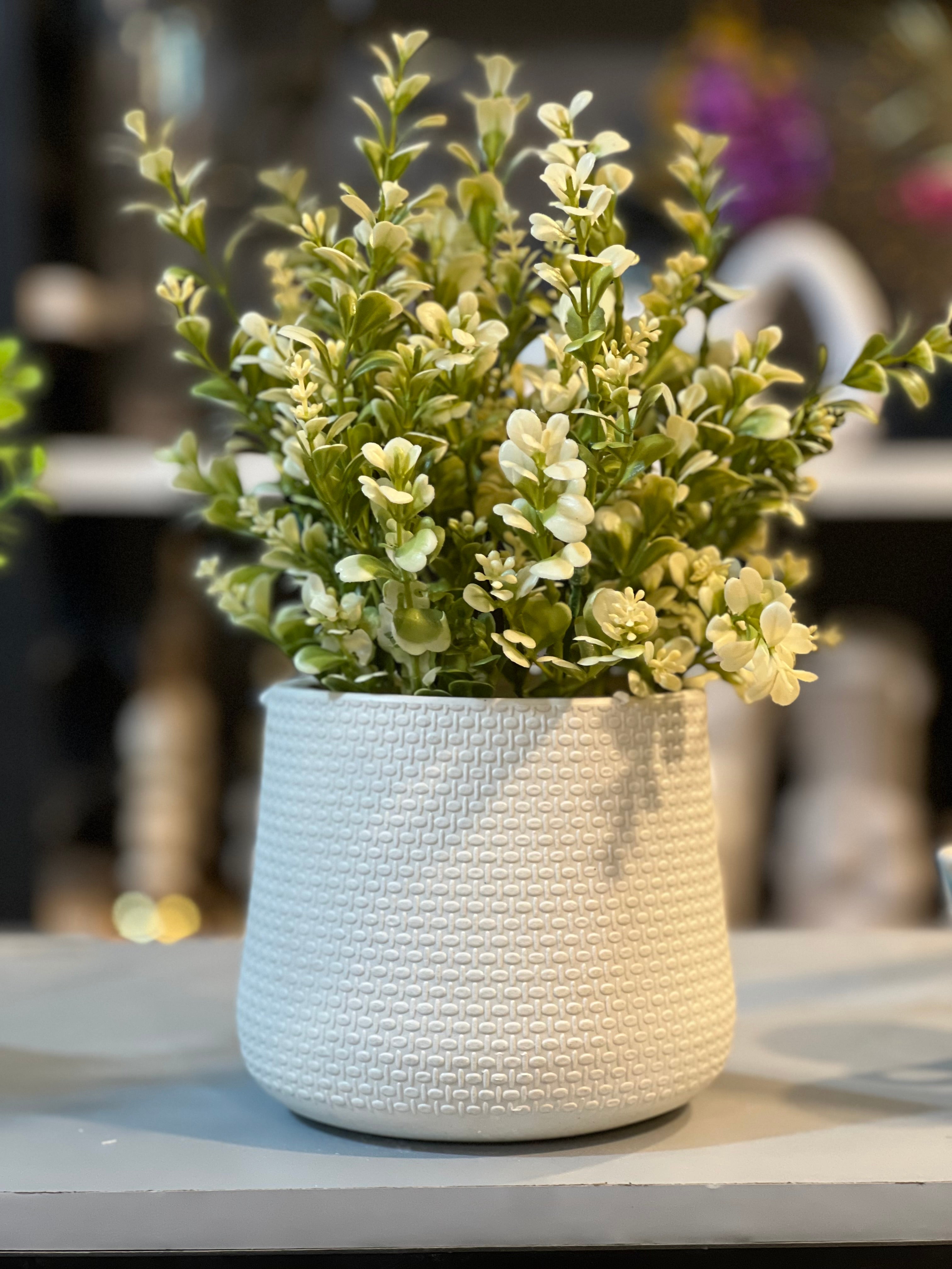 Exclusive fillers pots