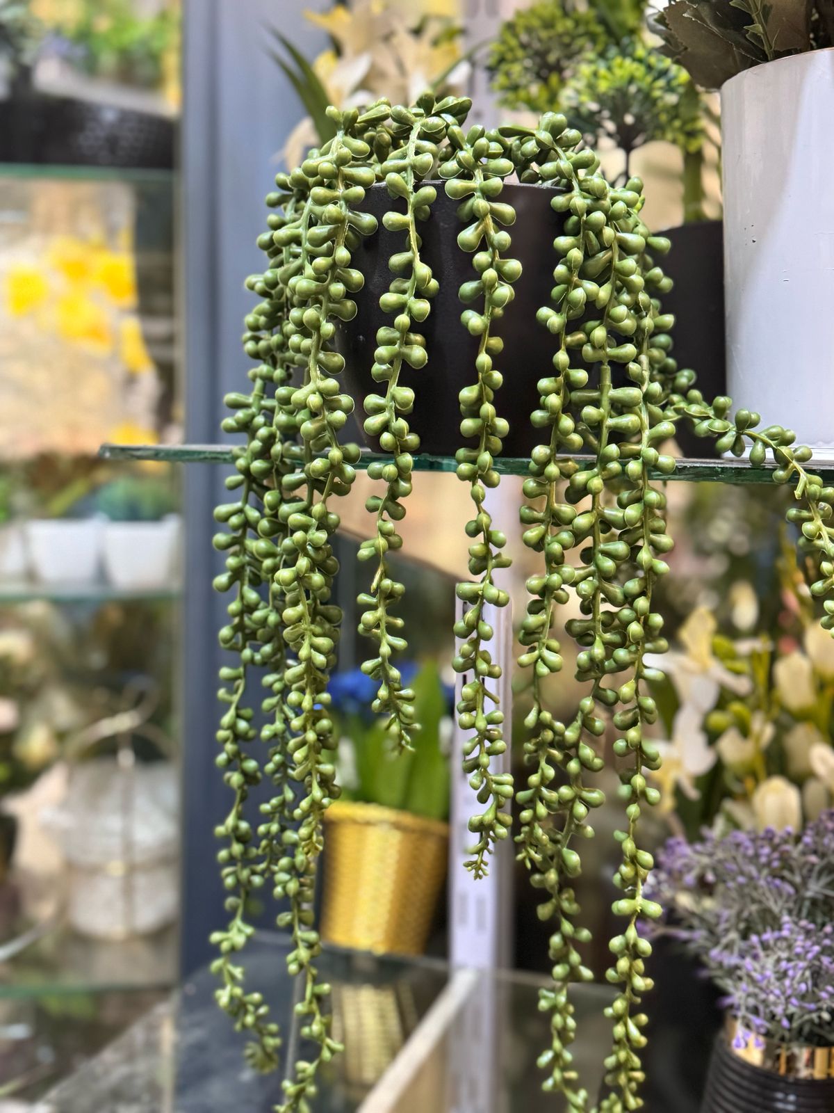 Pearls hanging pot