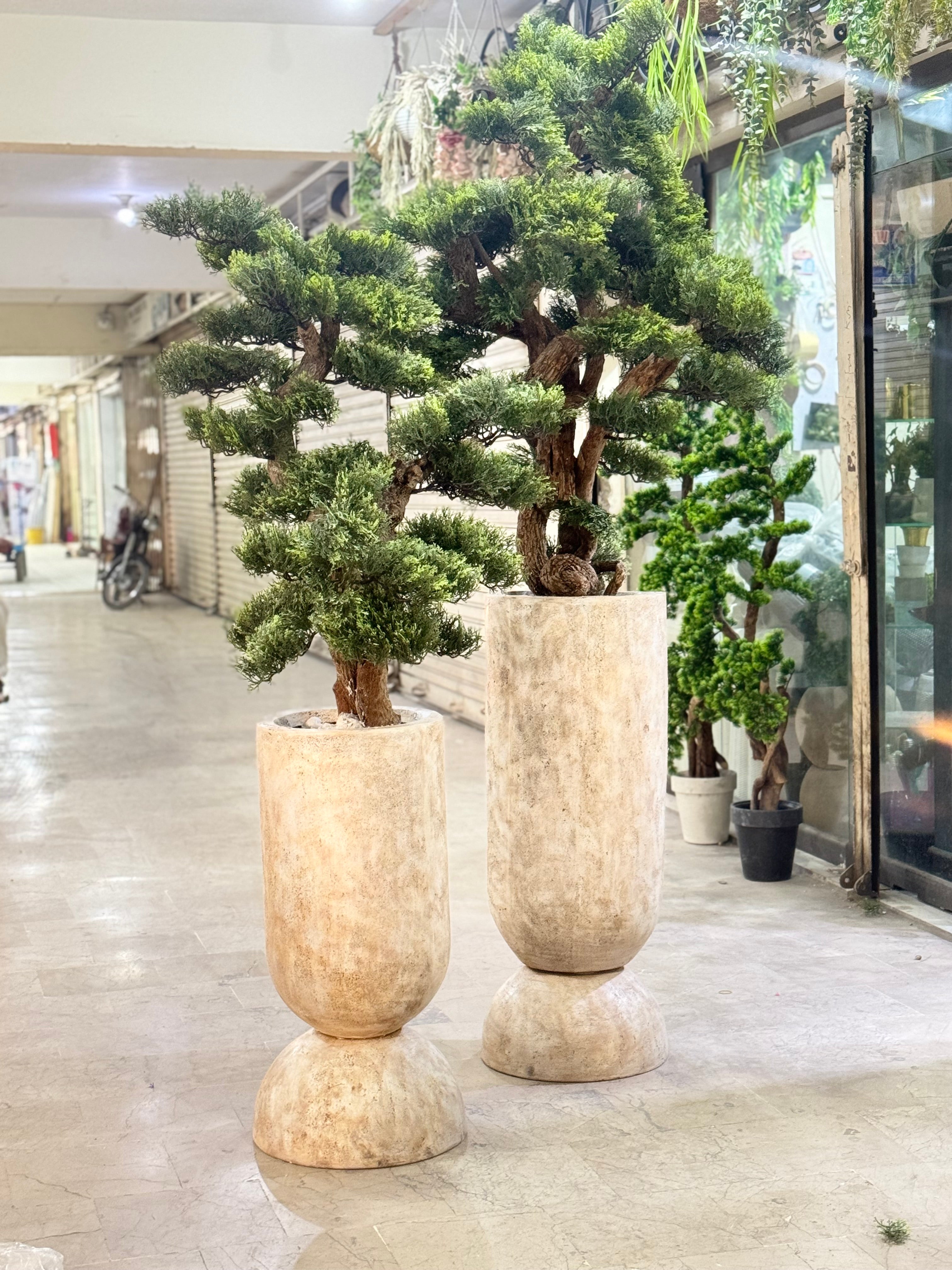 Ivory Pedestal Bonsai Planter.