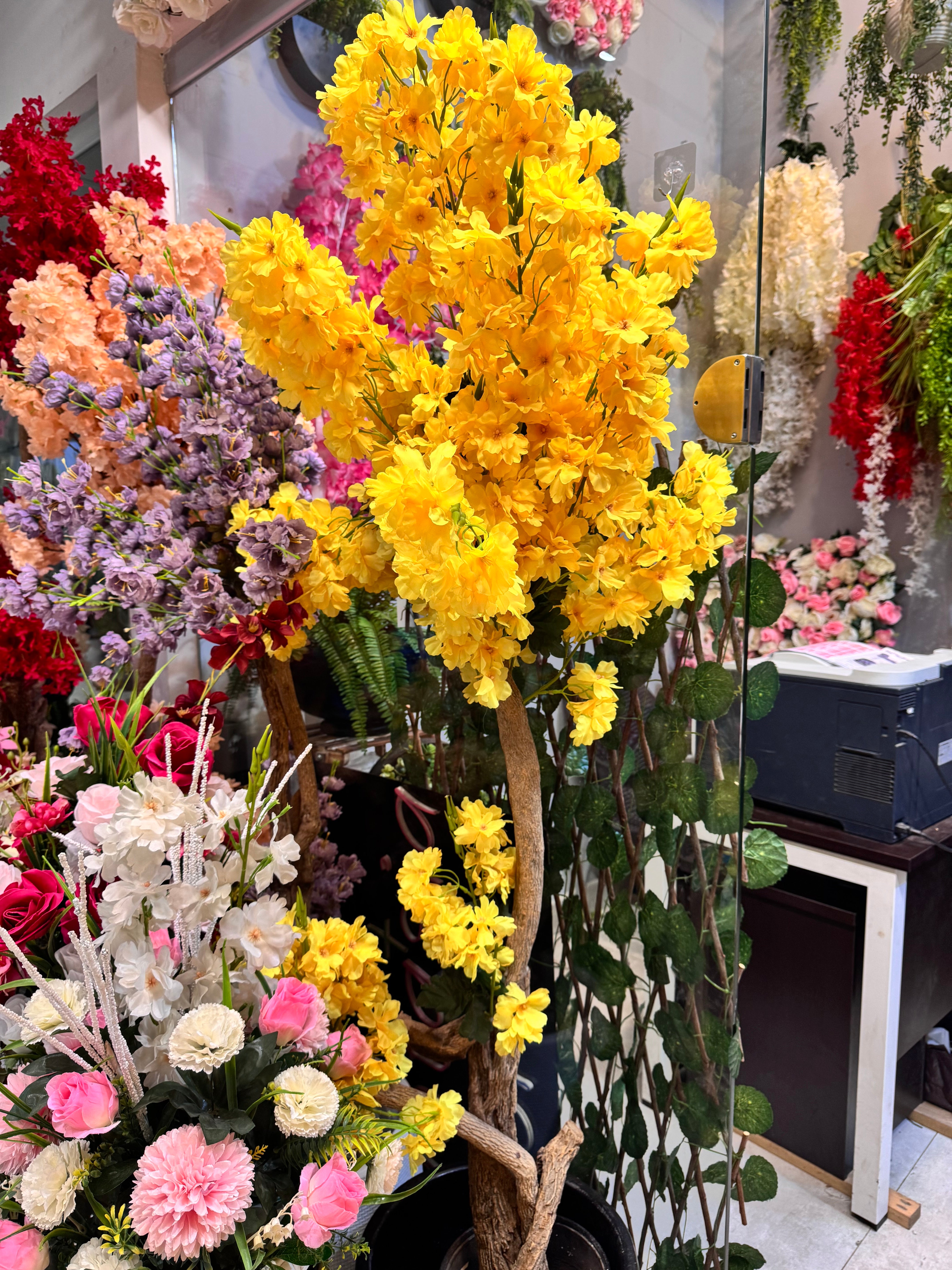 Floral plants