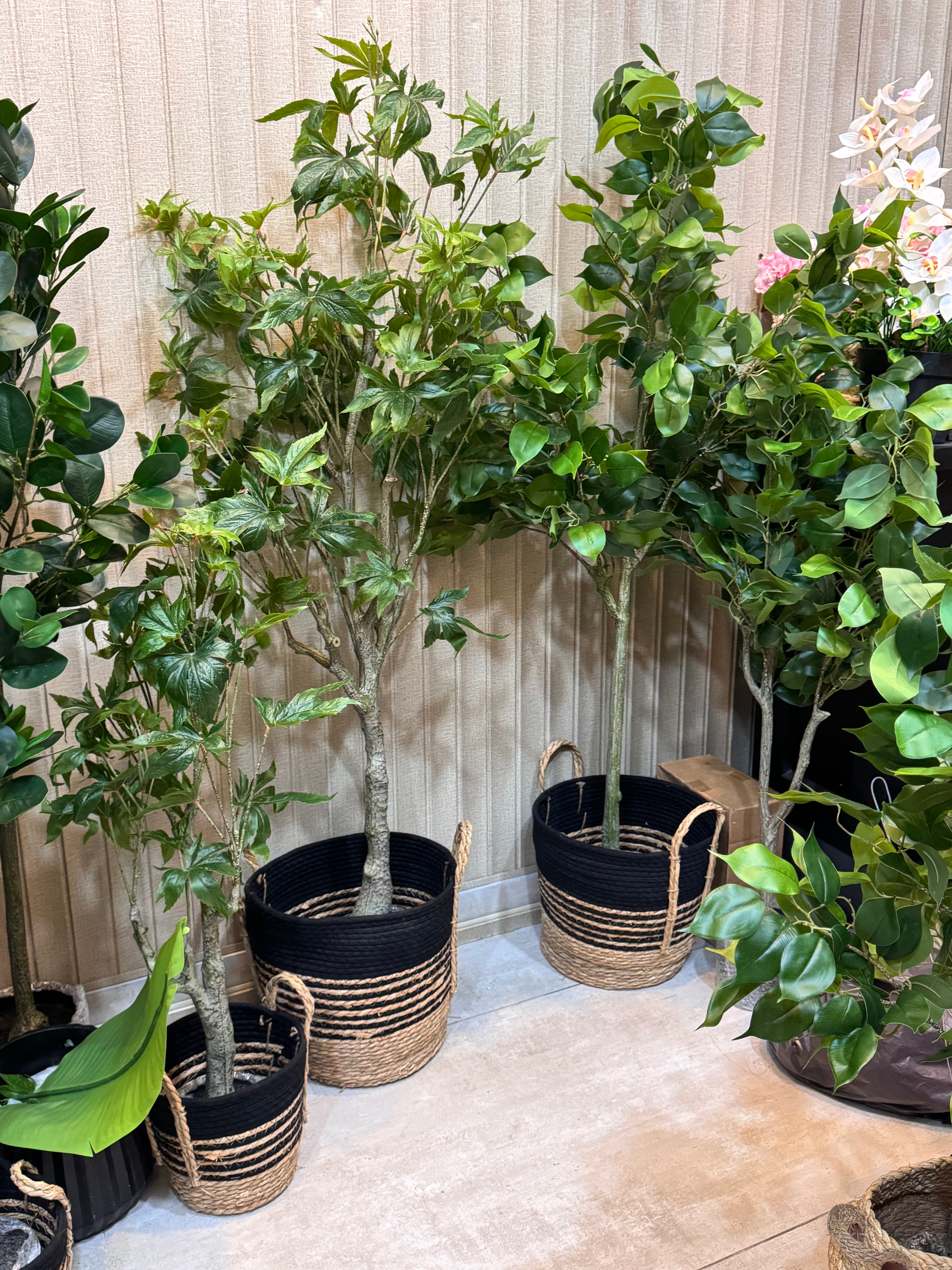 EXCLUSIVE REAL LOOKING PLANTS