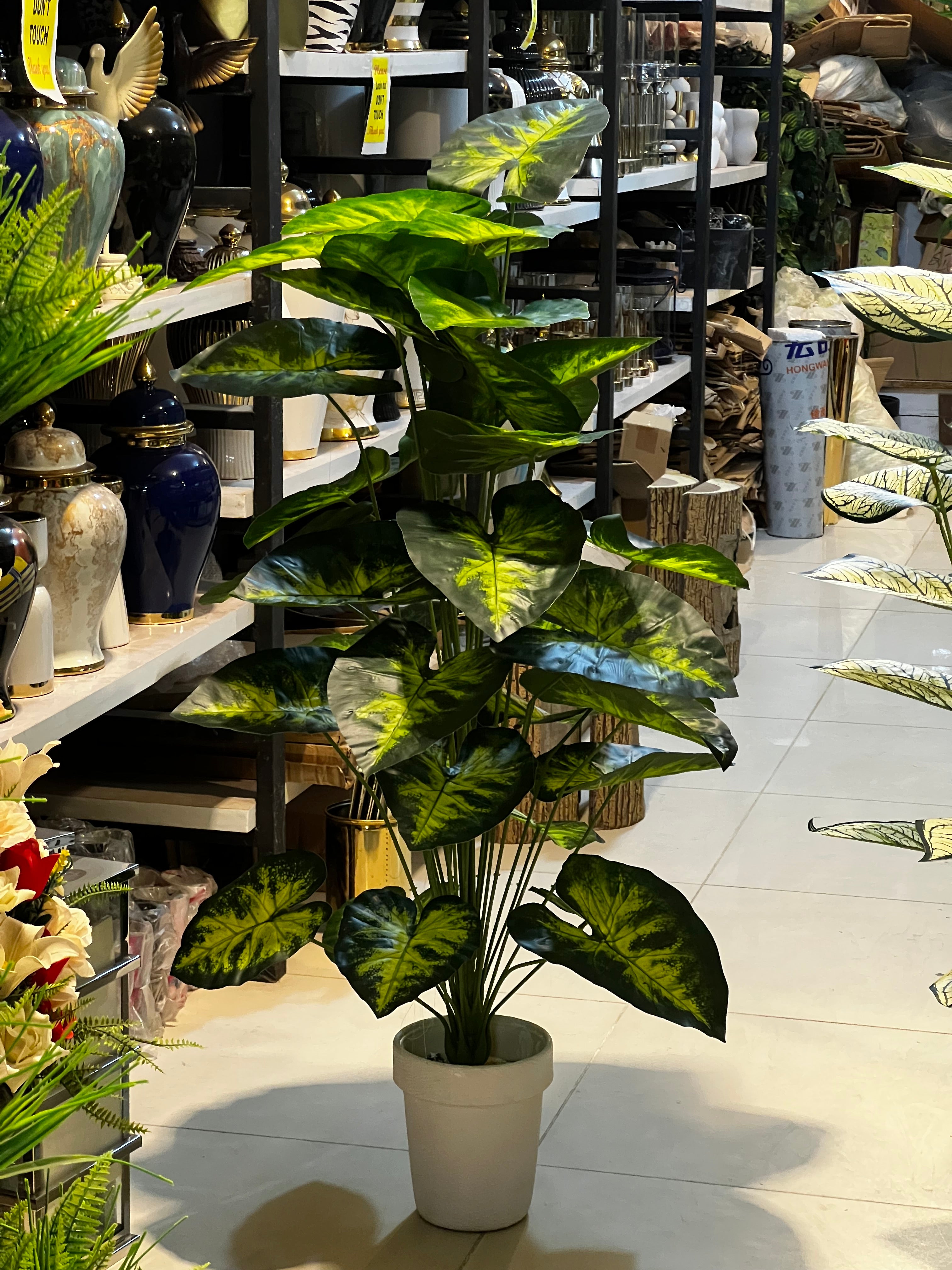 36 leaves plants with planter