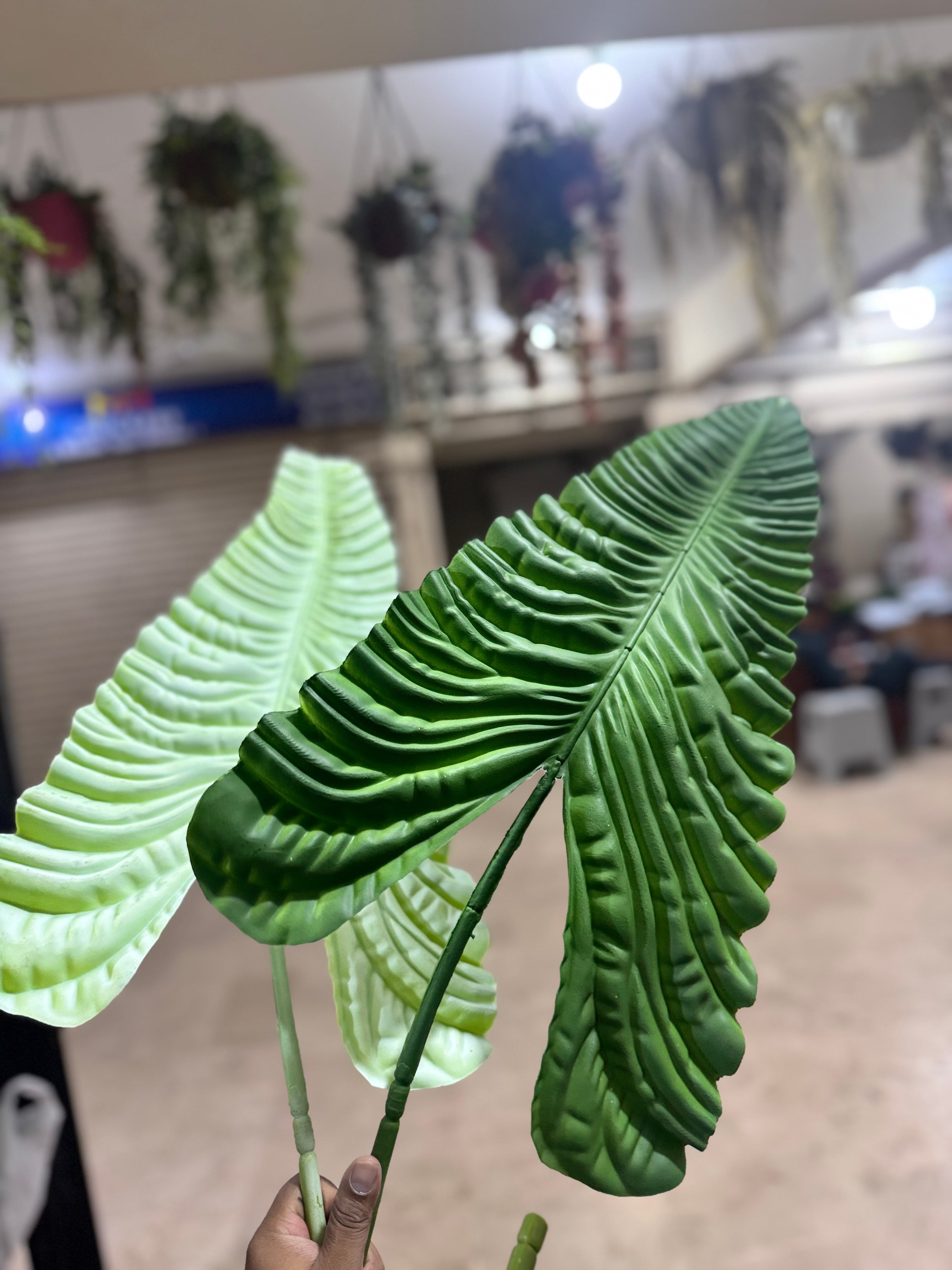 Artificial Calathea Giant Leaf Stem