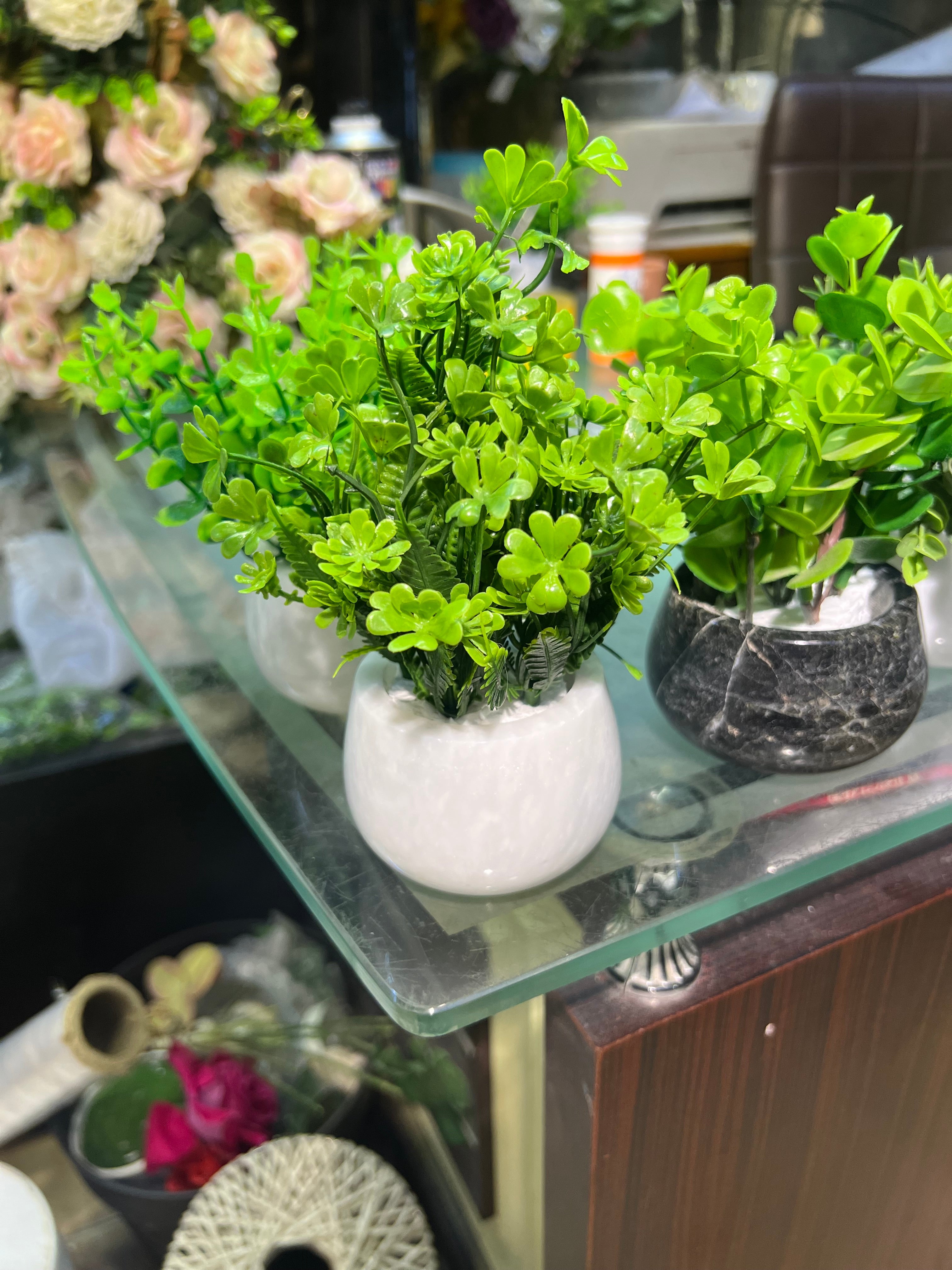 Marble succulents