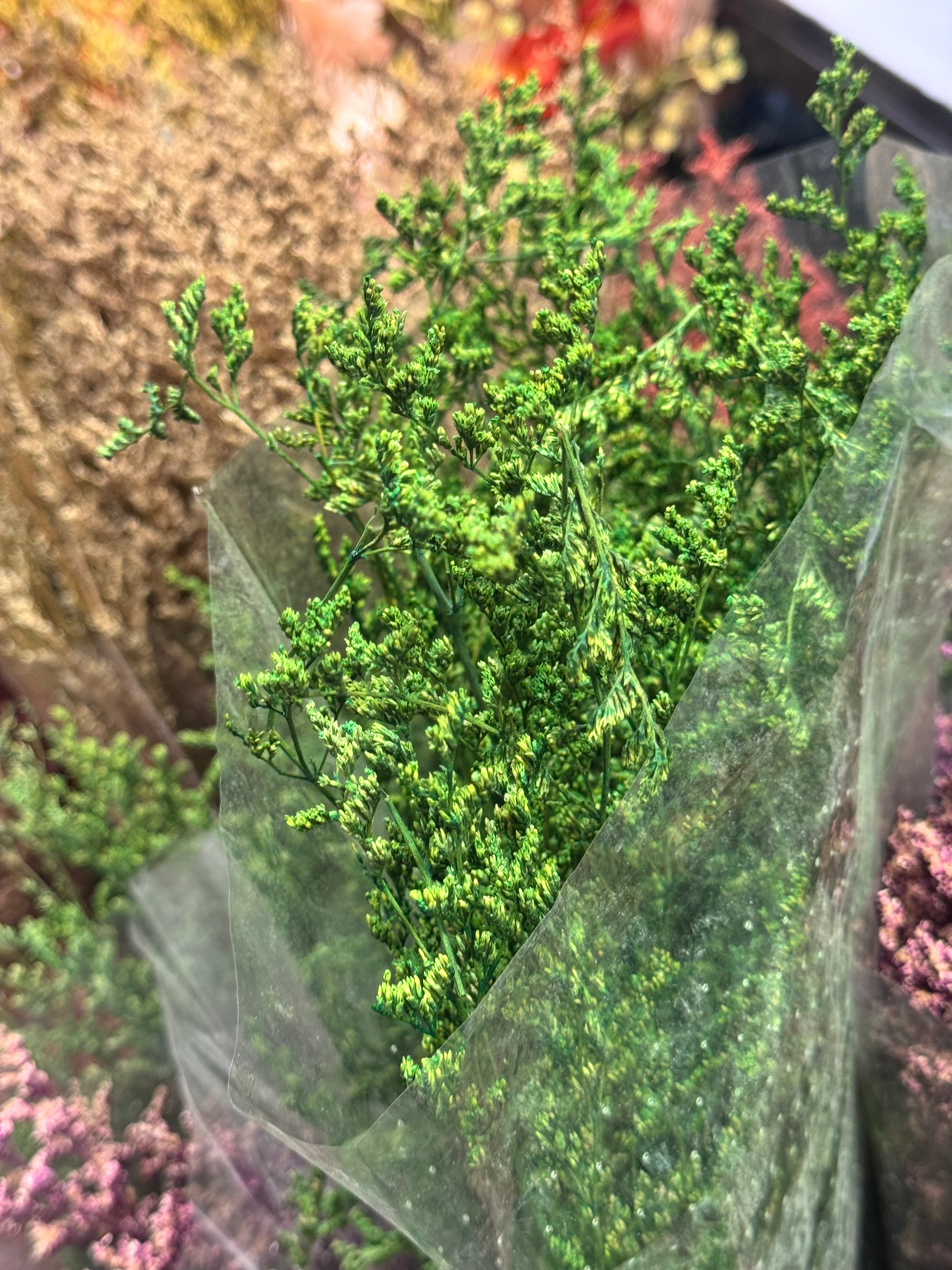 Premium Dried floral packet