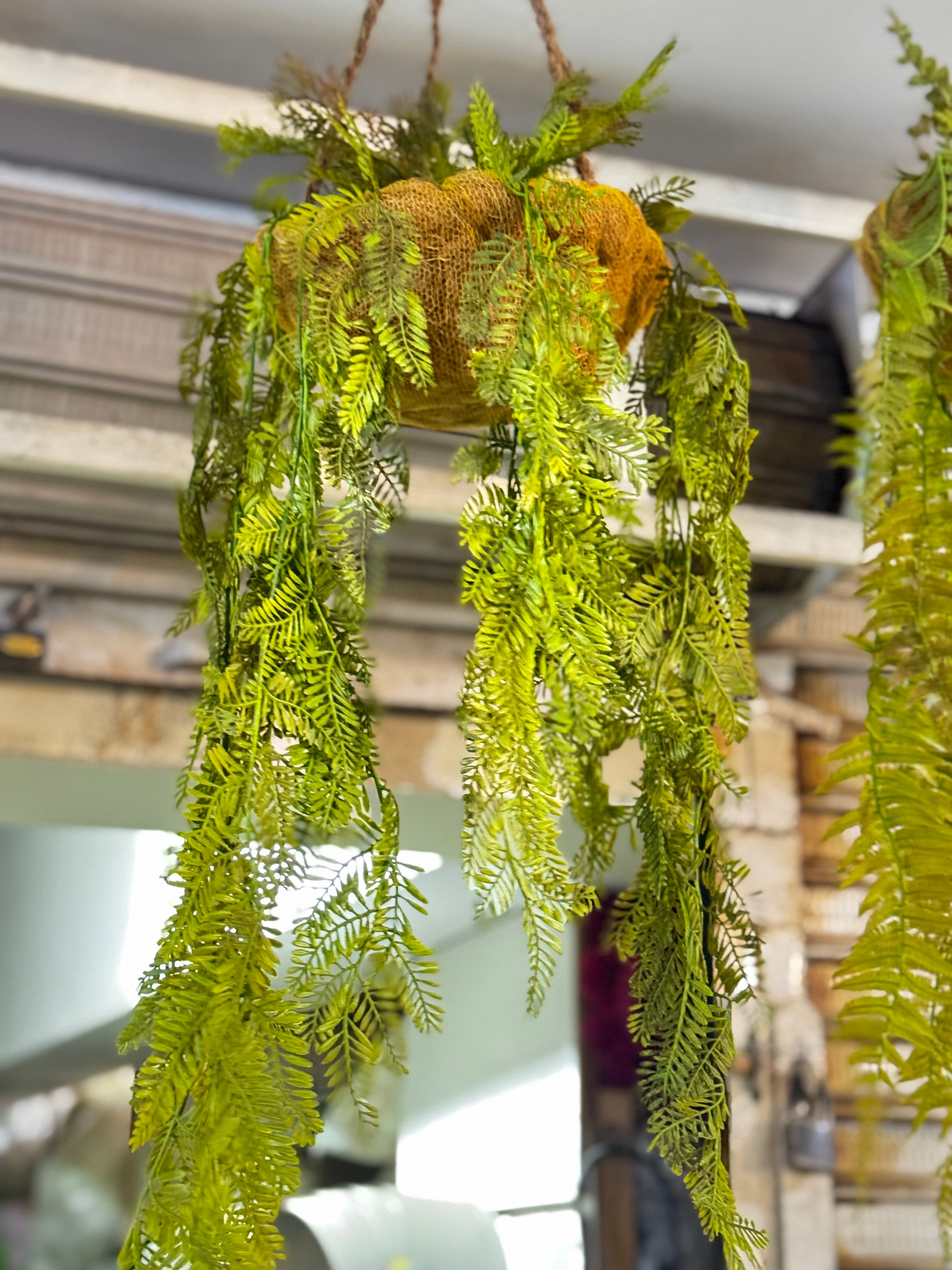 Premium hanging baskets