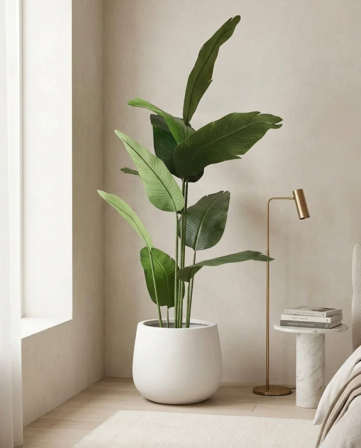 Wedding Package Set of 5 plants