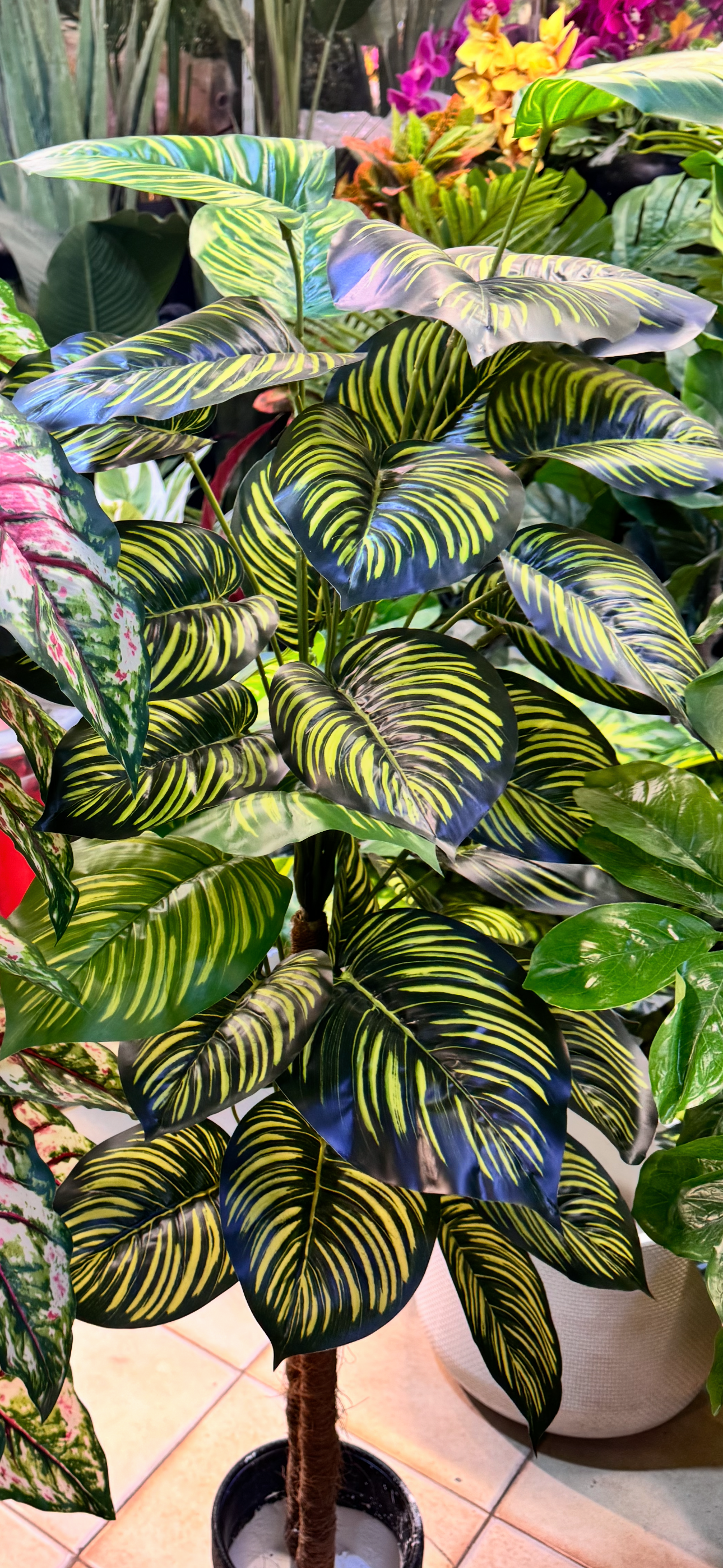 36 leaves Arrangments