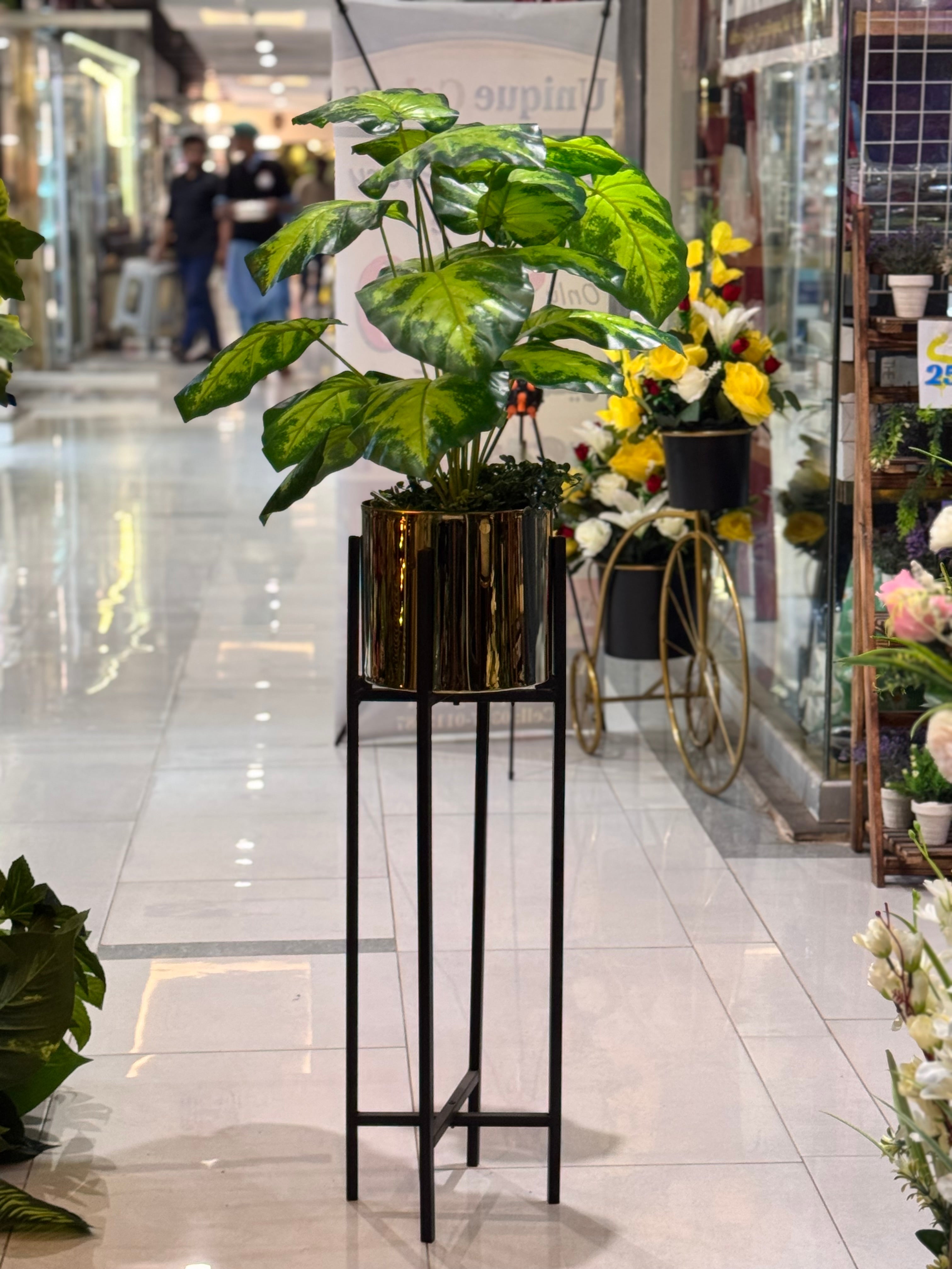 Century stand with plants