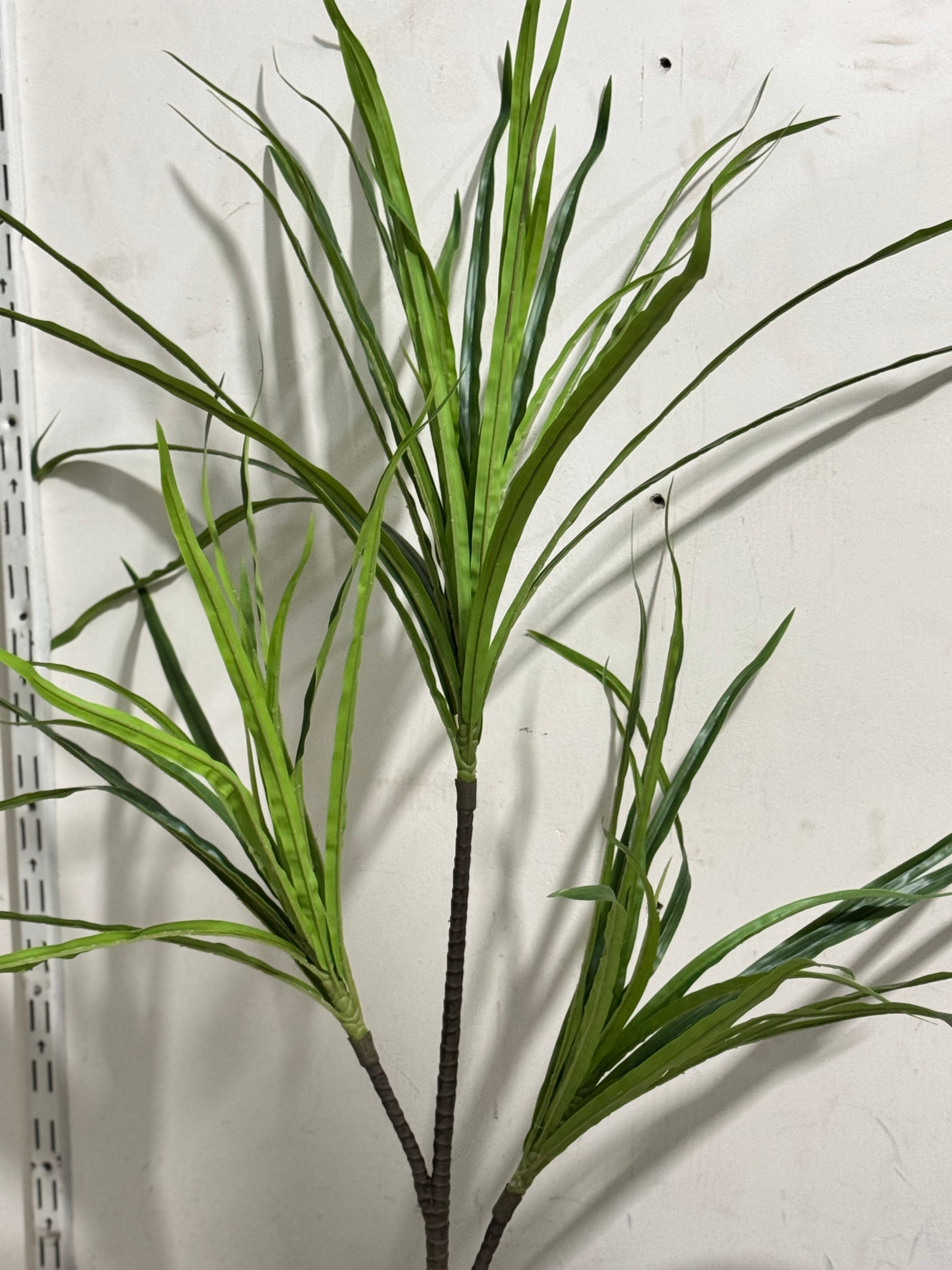 premium dracaena plant Dracaena Plant Stems – Premium Real-Looking – Fantasia Florist