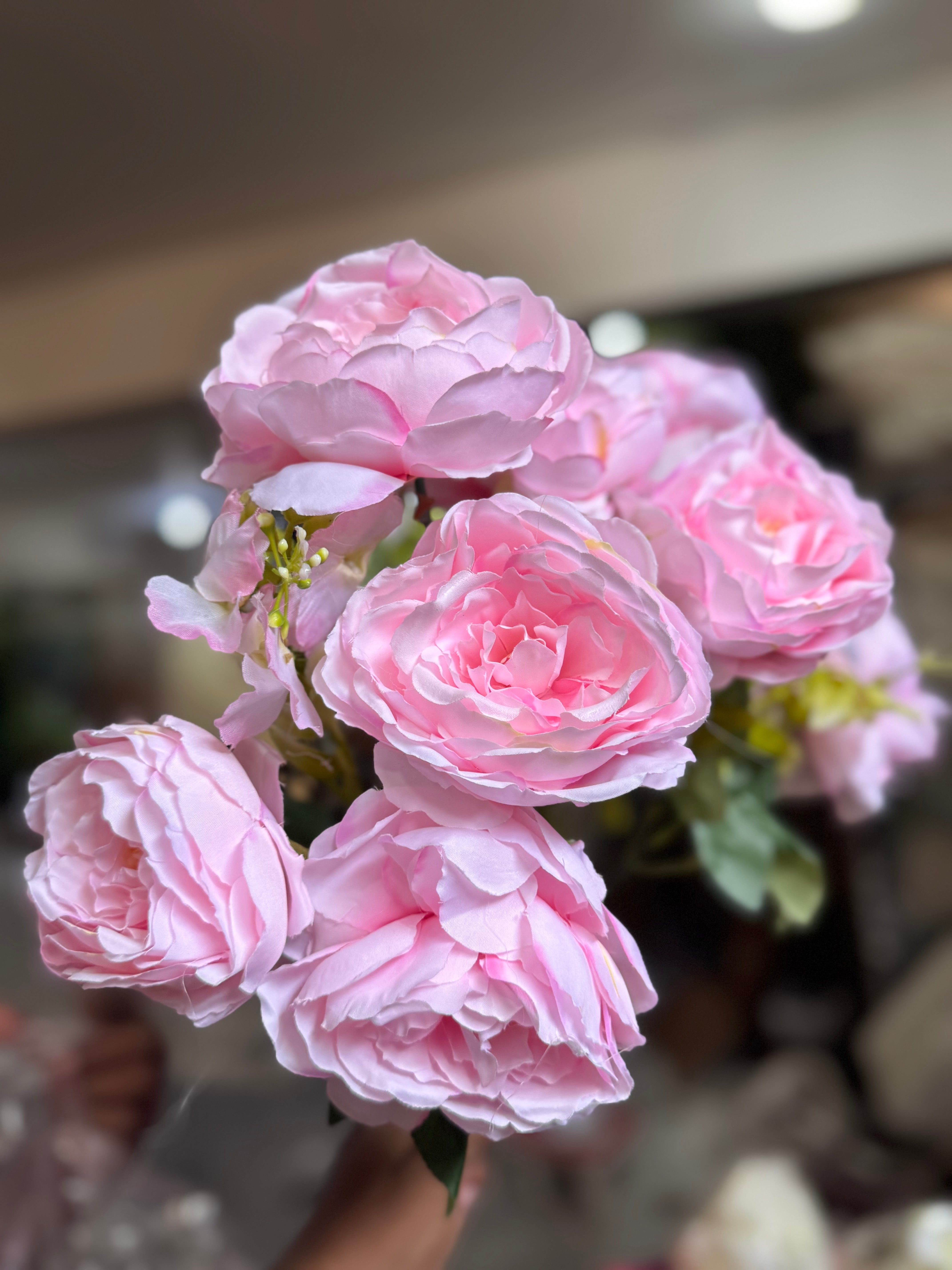 Premium roses bunches