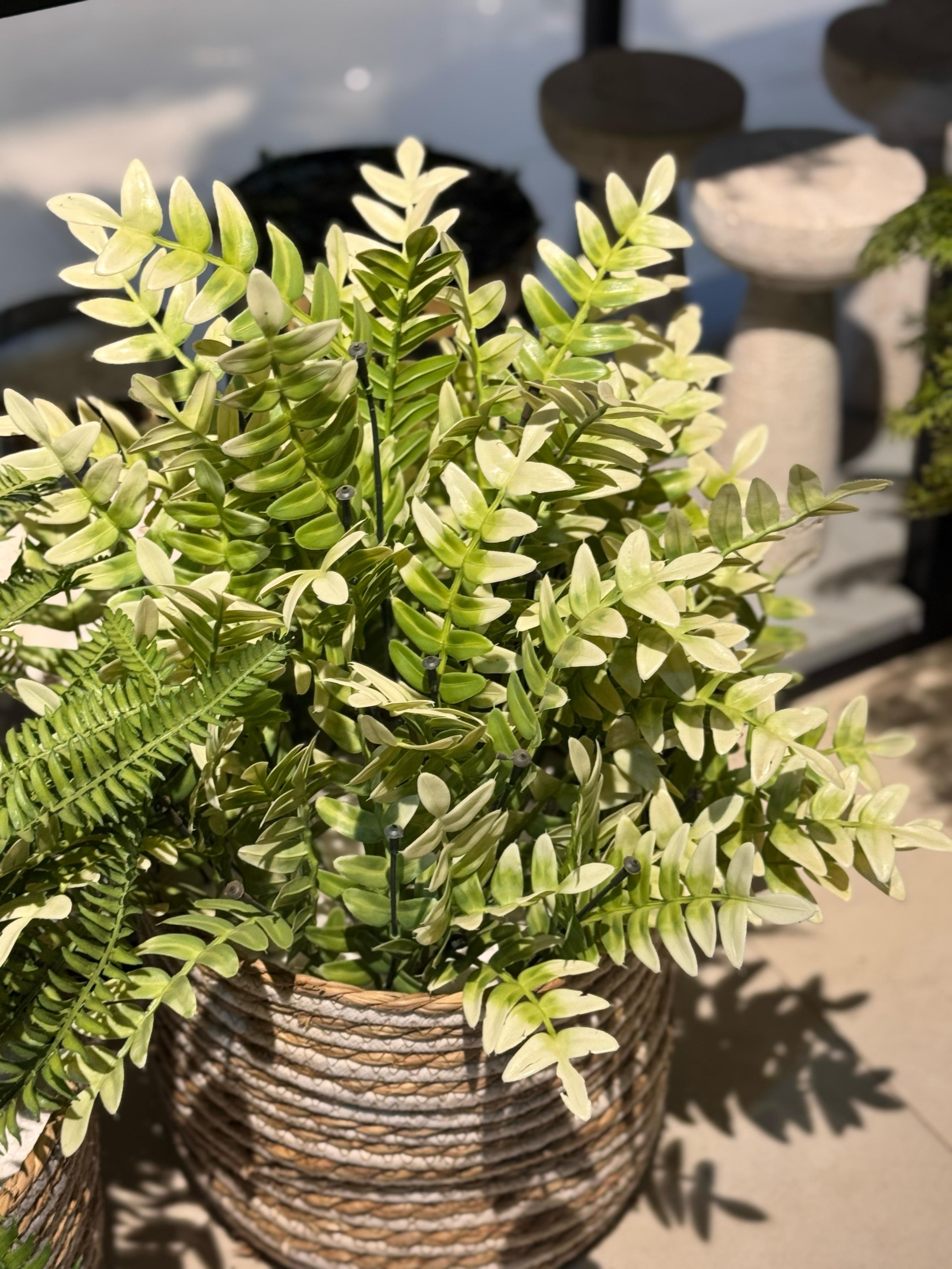 Cane Basket with Fillers