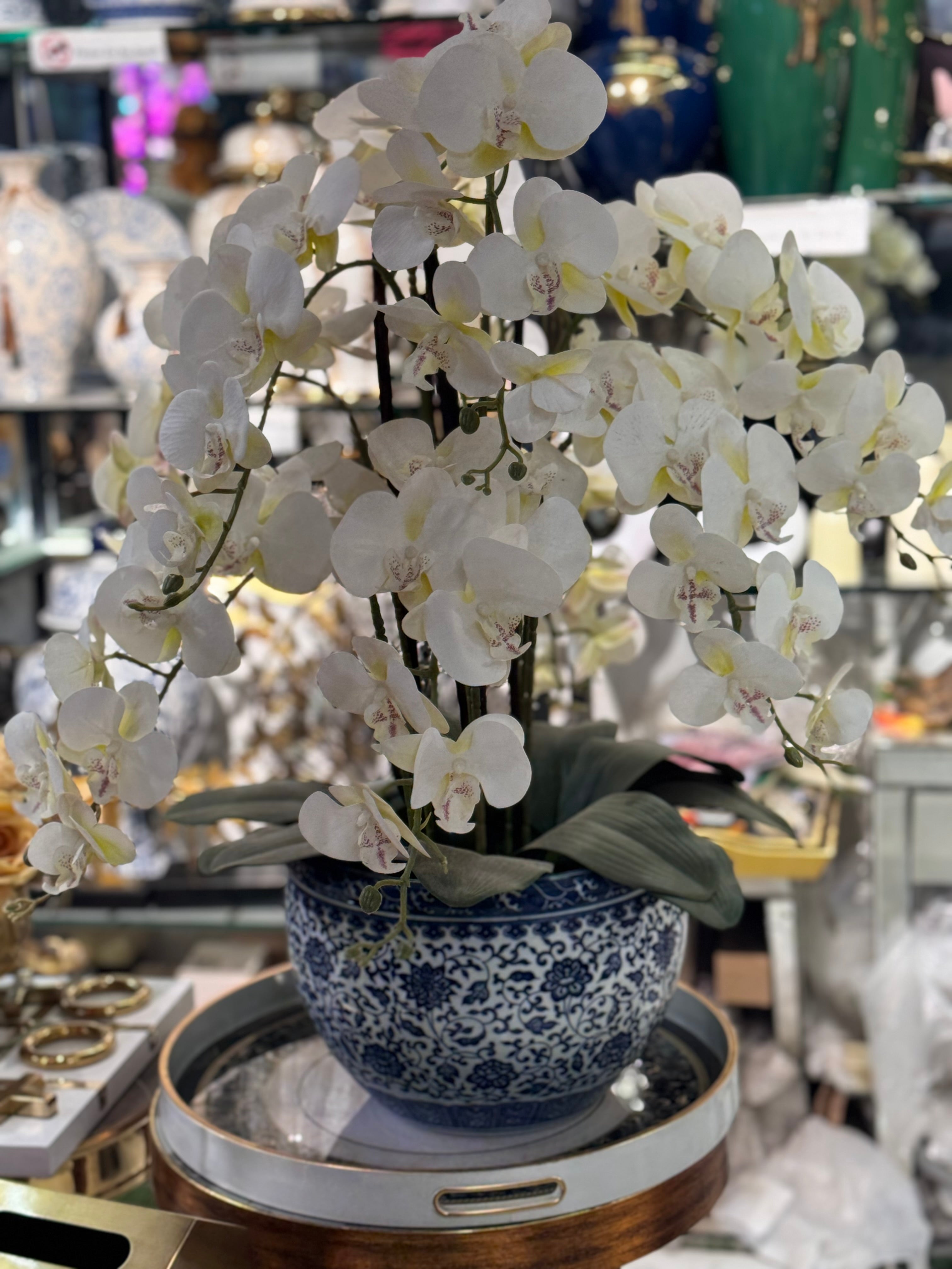 ORCHIDS WITH BLUE POTTERY