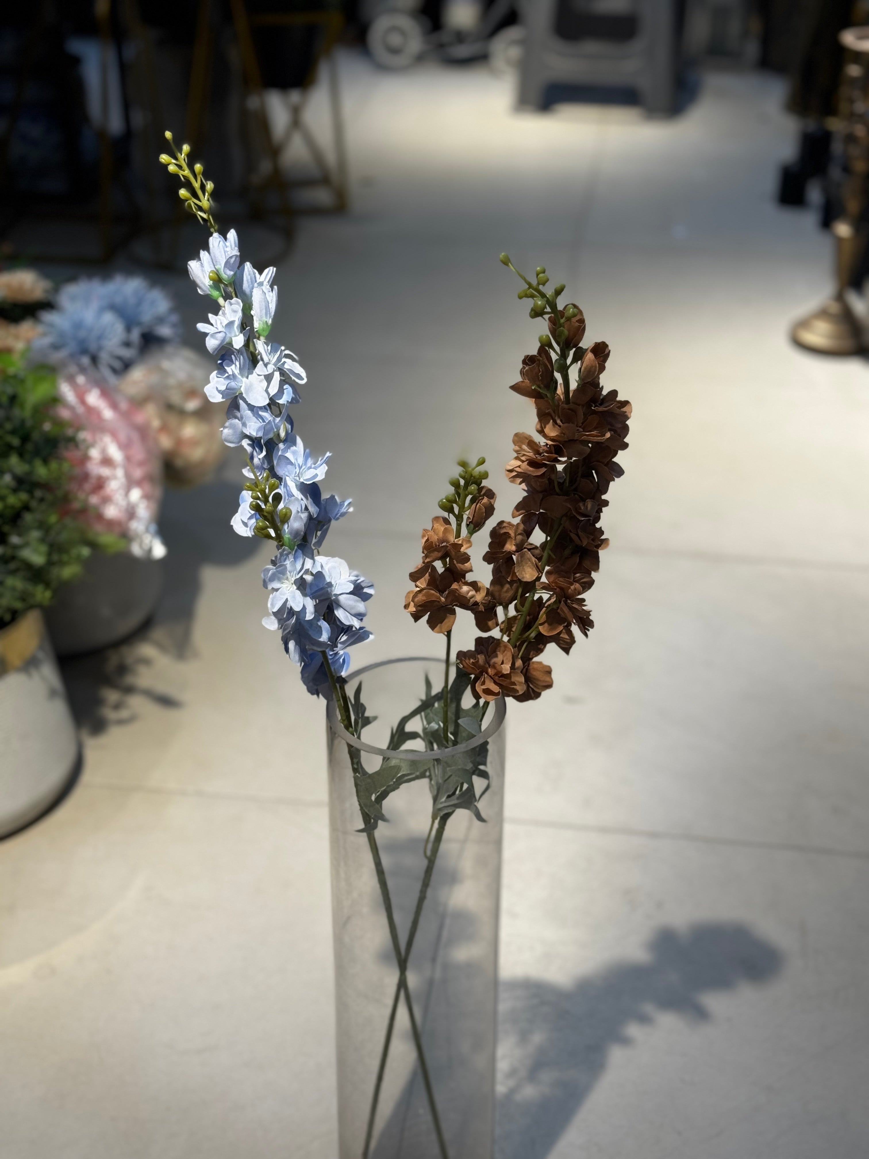 Premium blossoms stems