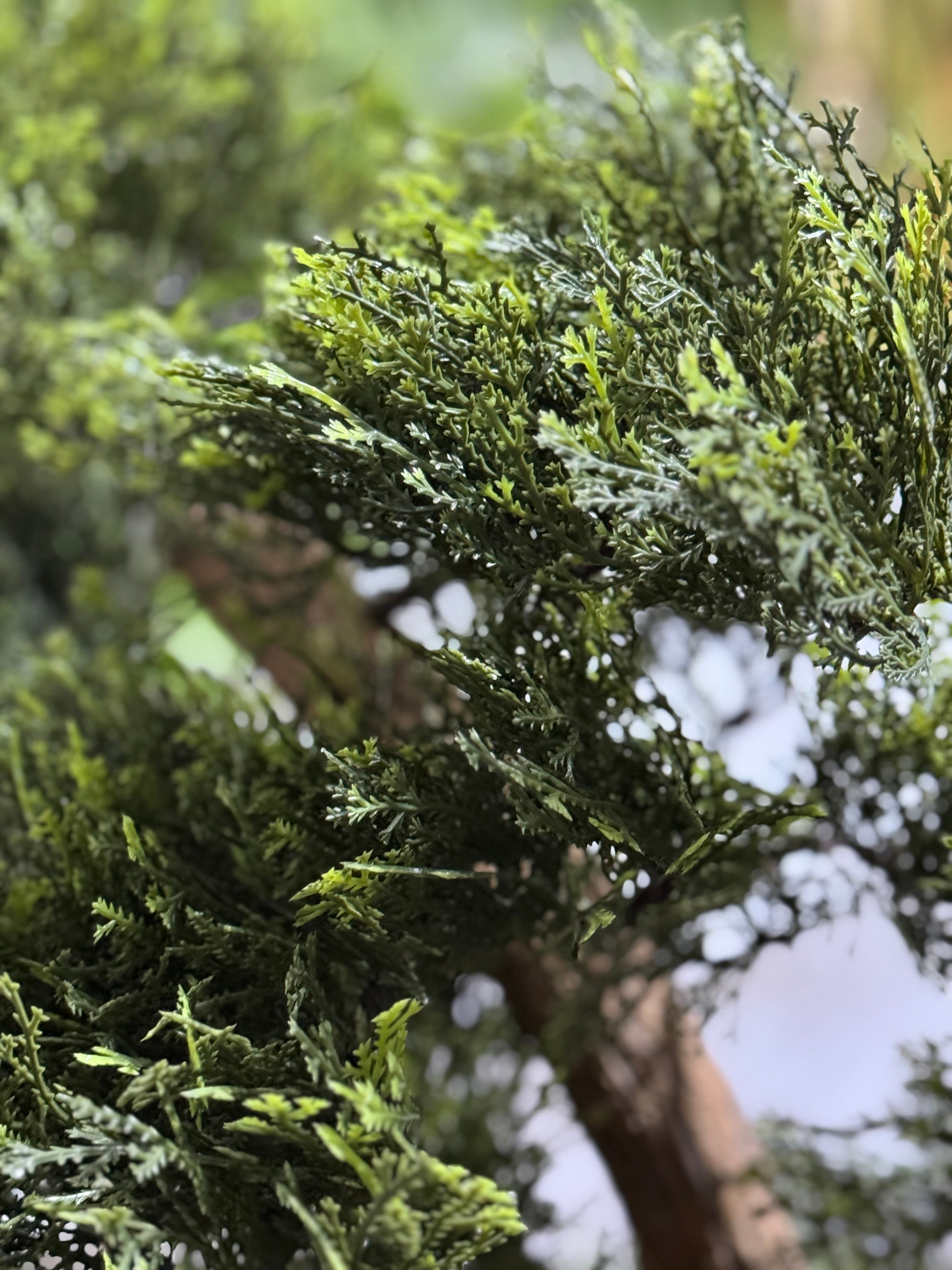 Artificial Juniper Bonsai Tree
