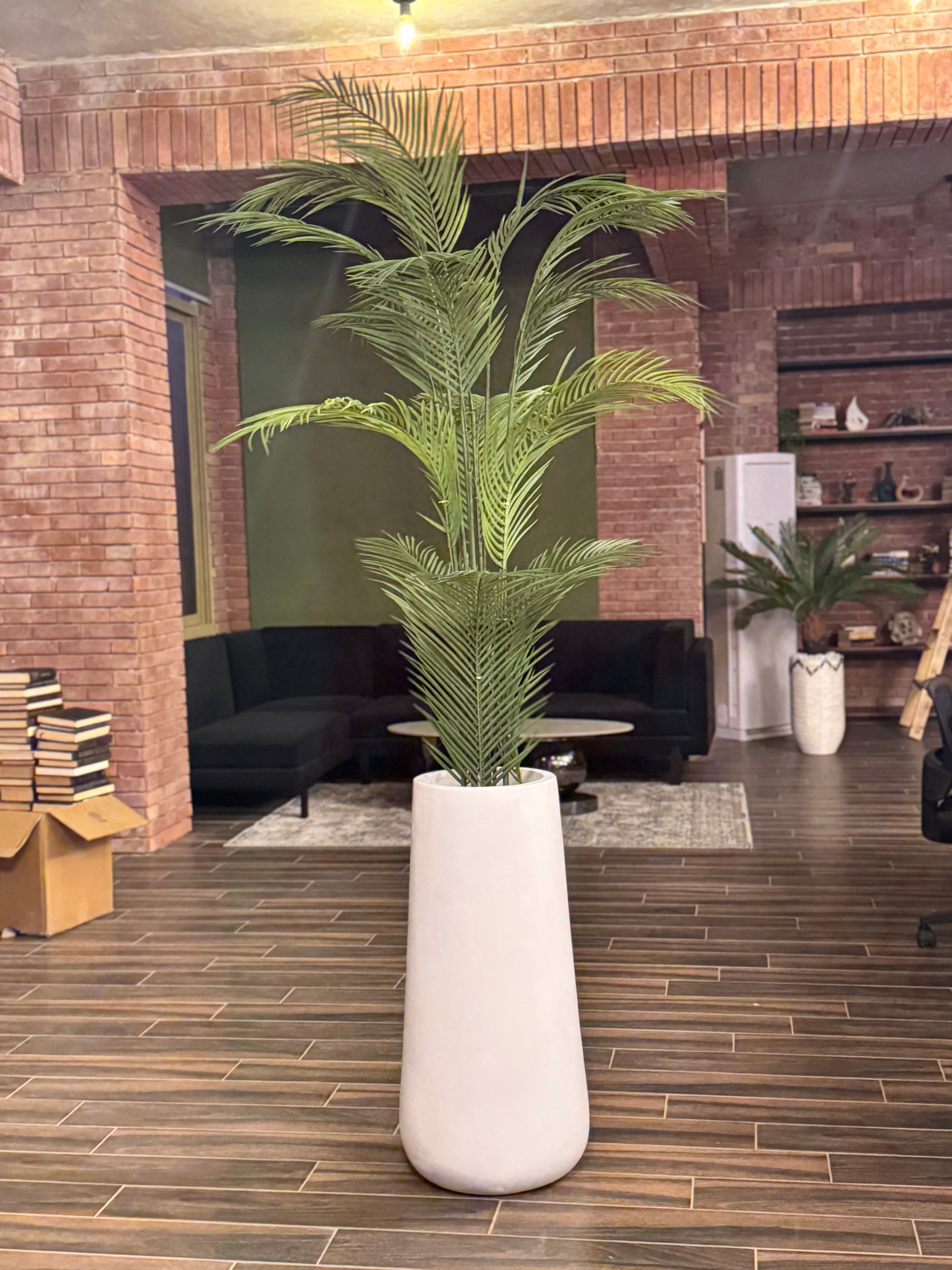 Sleek palm with signature fiberglass planter