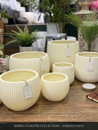 Minimalist Ribbed  Planter Collection