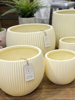 Minimalist Ribbed  Planter Collection set of 3