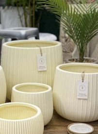 Minimalist Ribbed  Planter Collection set of 3
