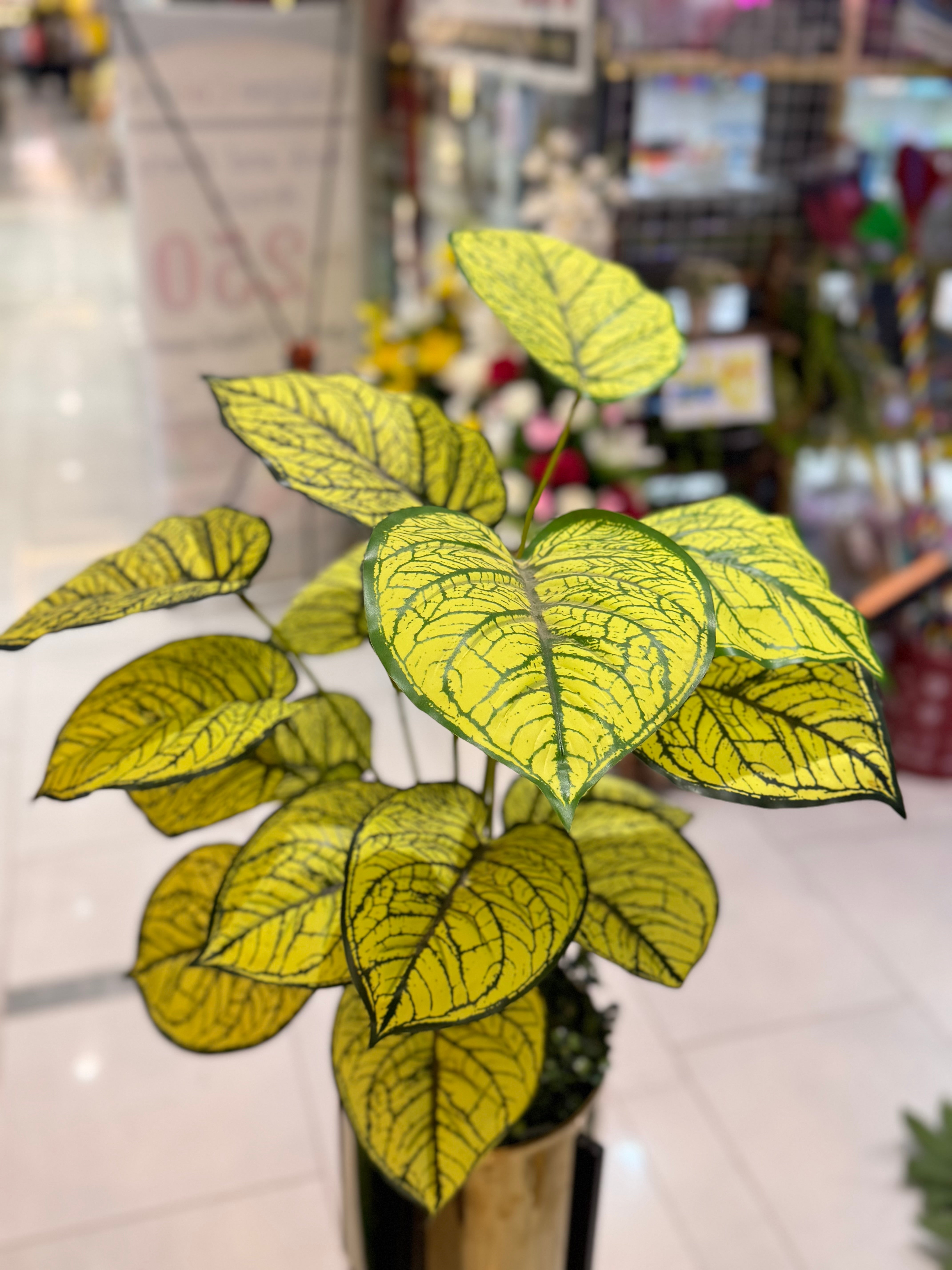 Century stand with plants