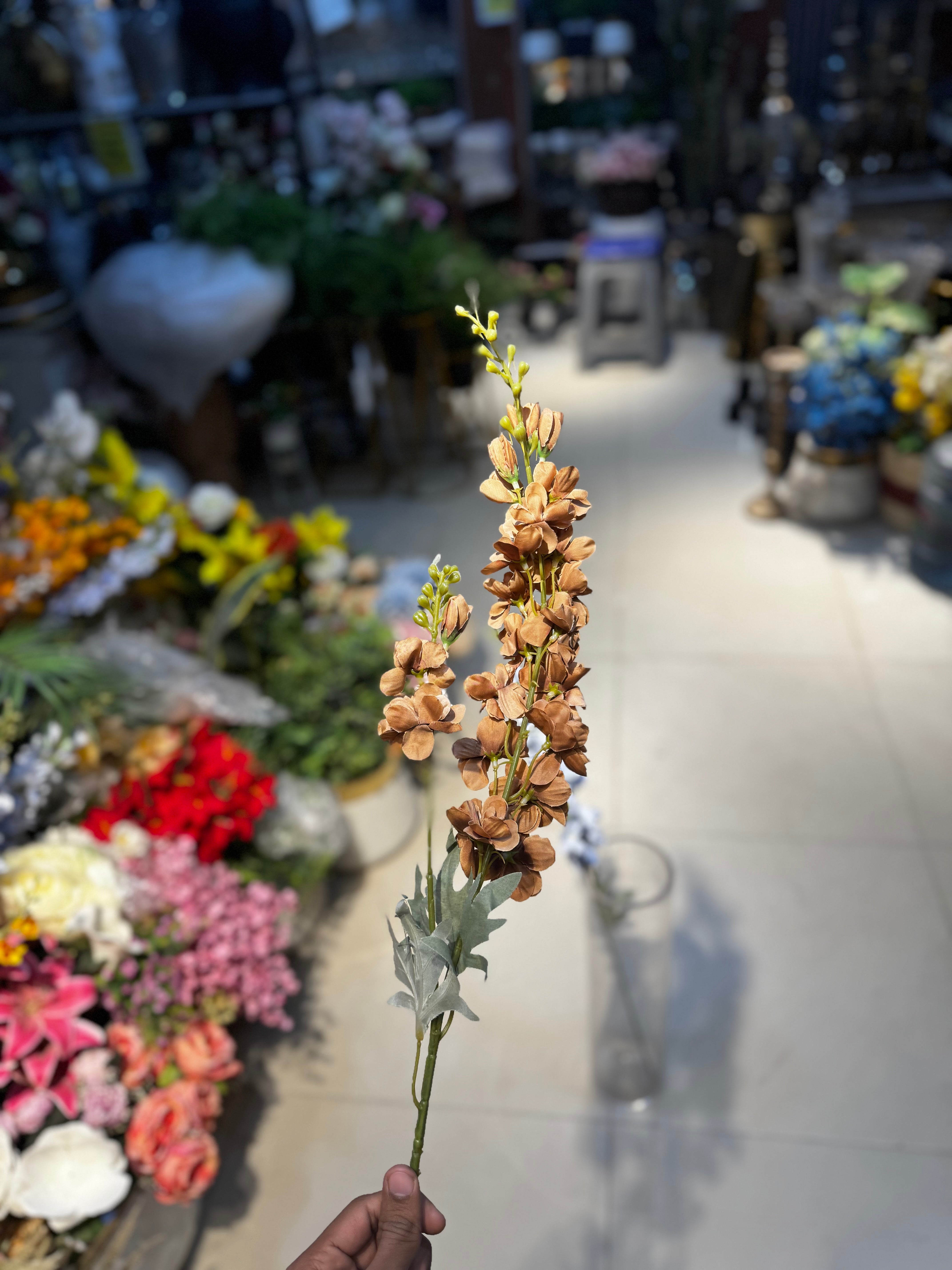 Premium blossoms stems