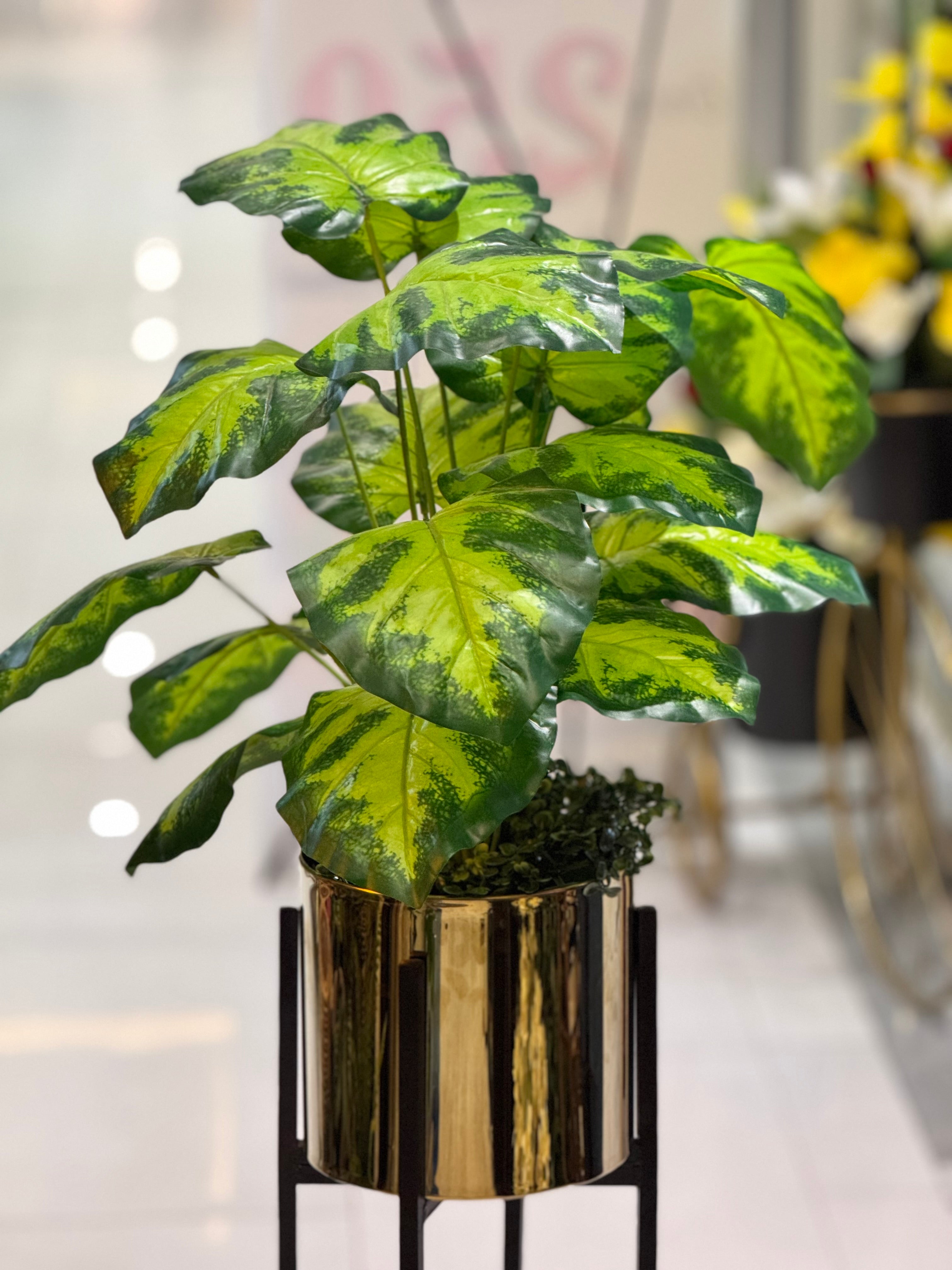 Century stand with plants