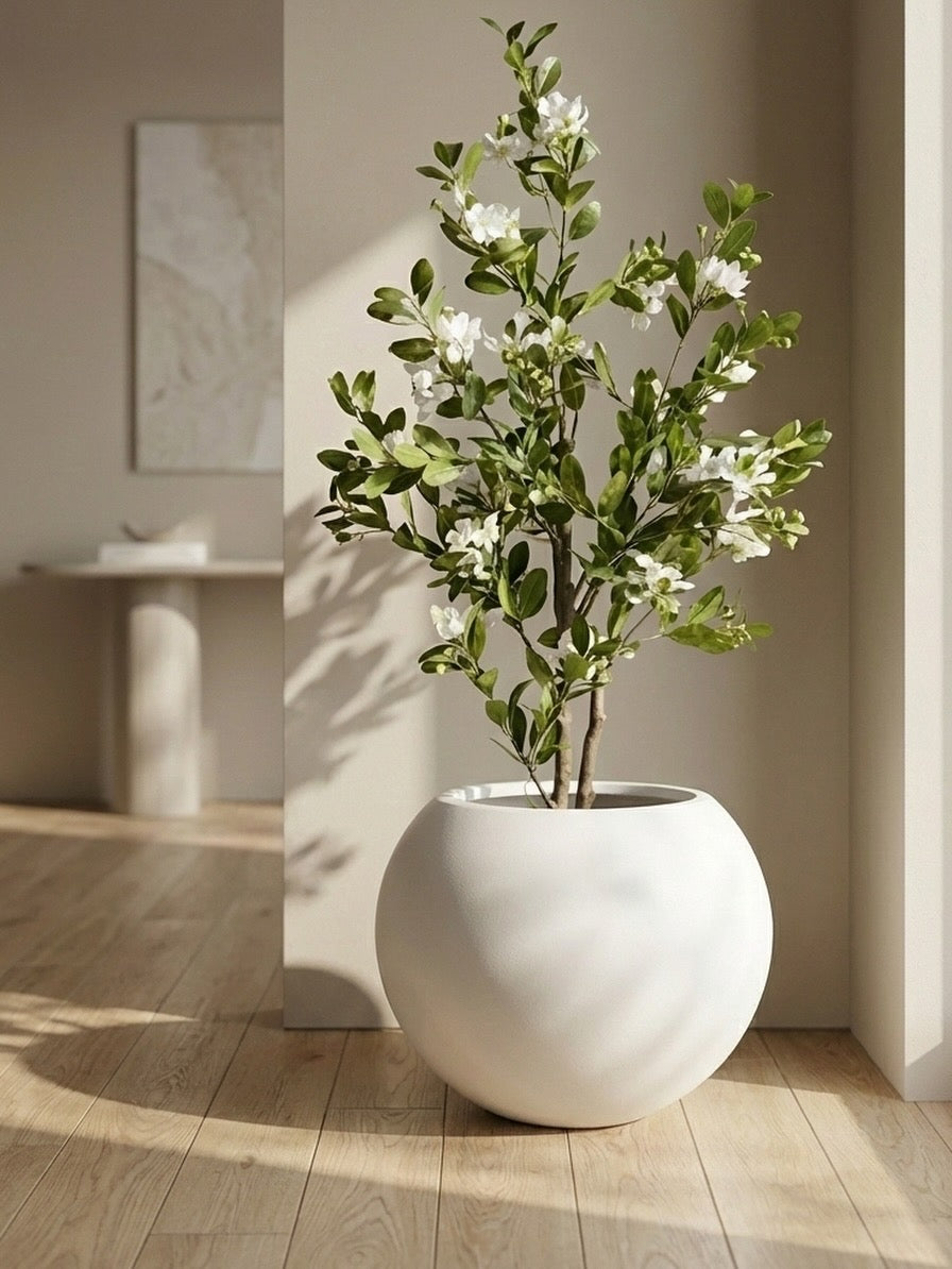 Elysian white blossom Tree