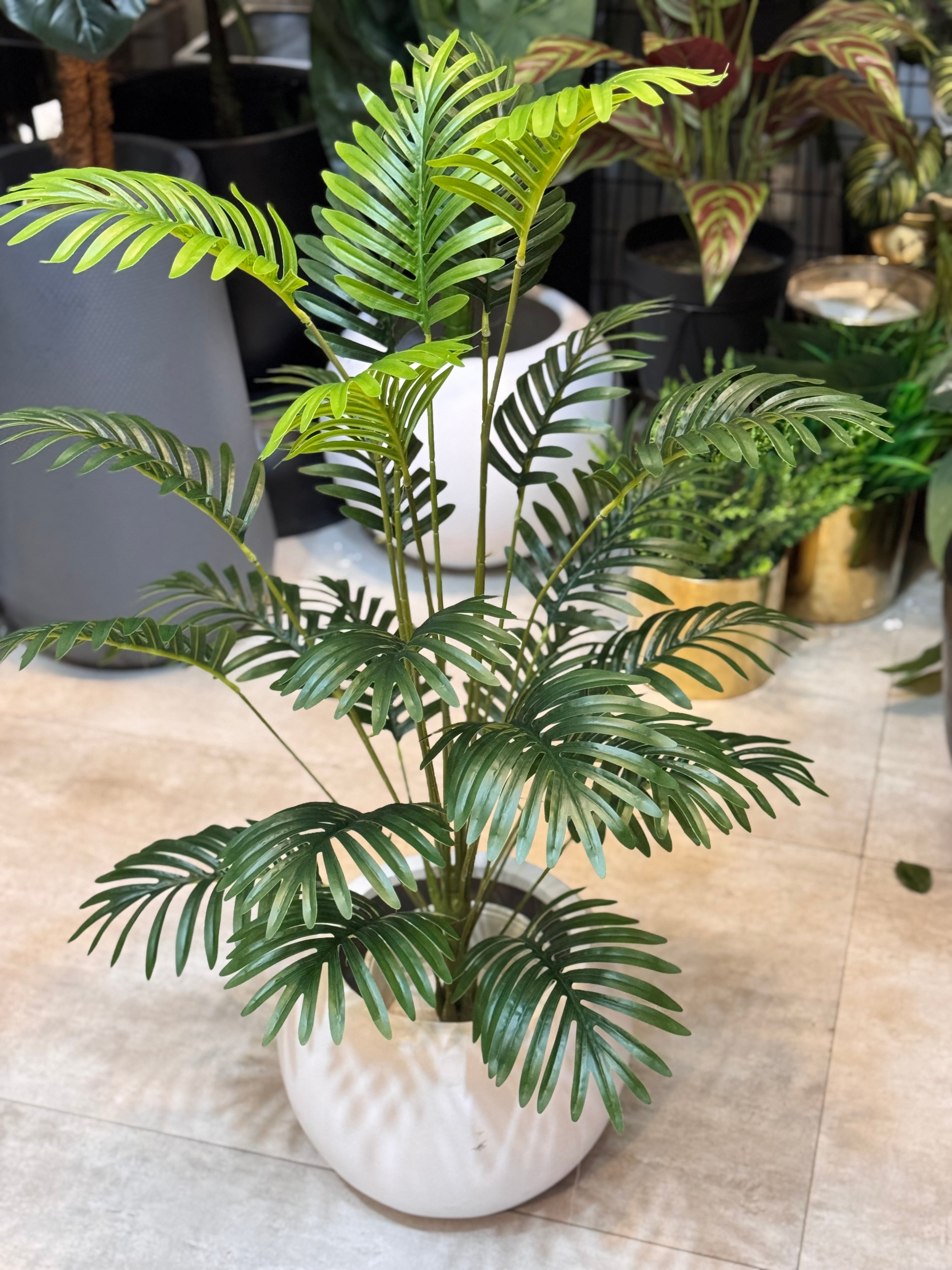Palm Leaves With Pot