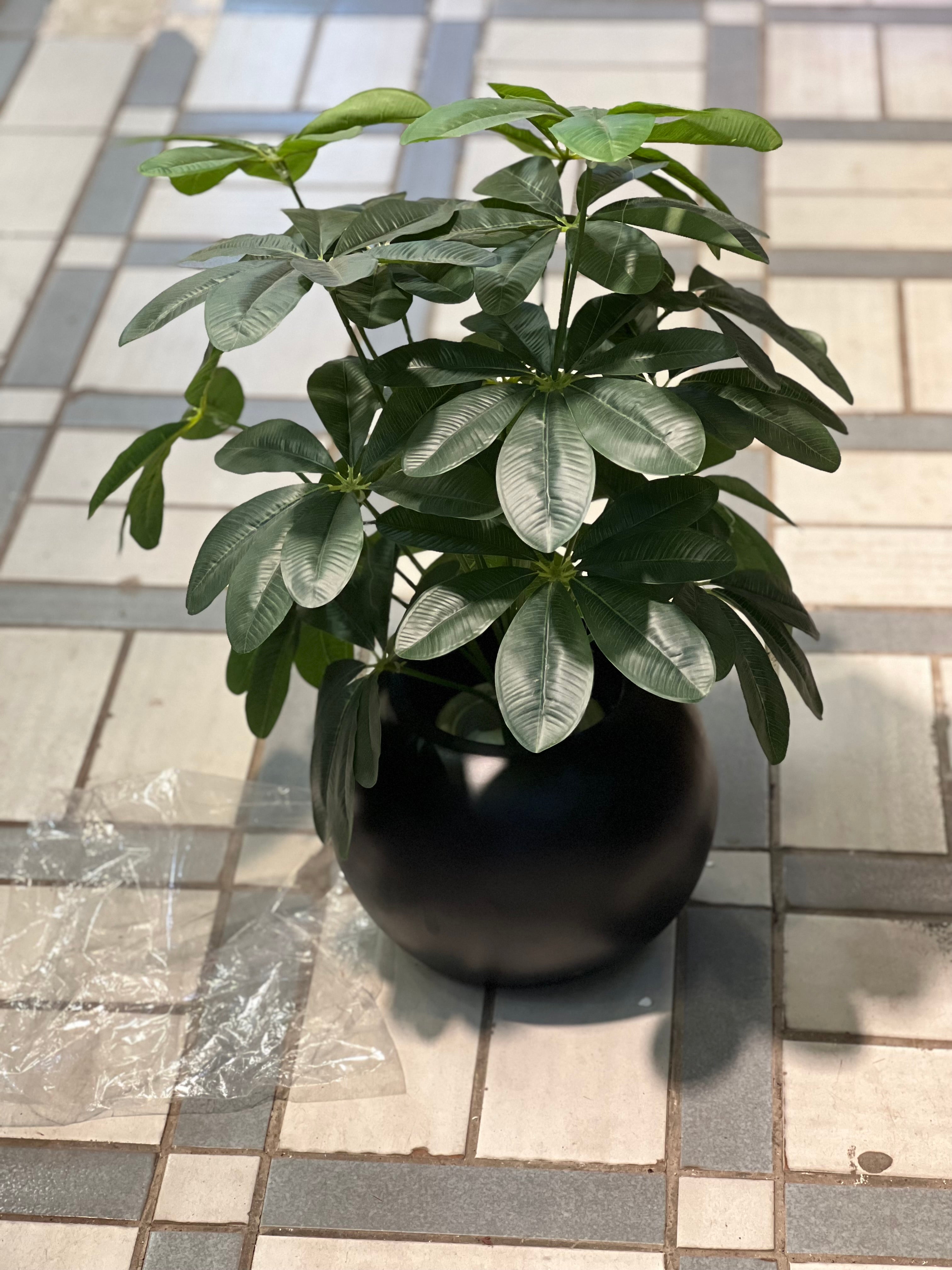 Green plants with small planter