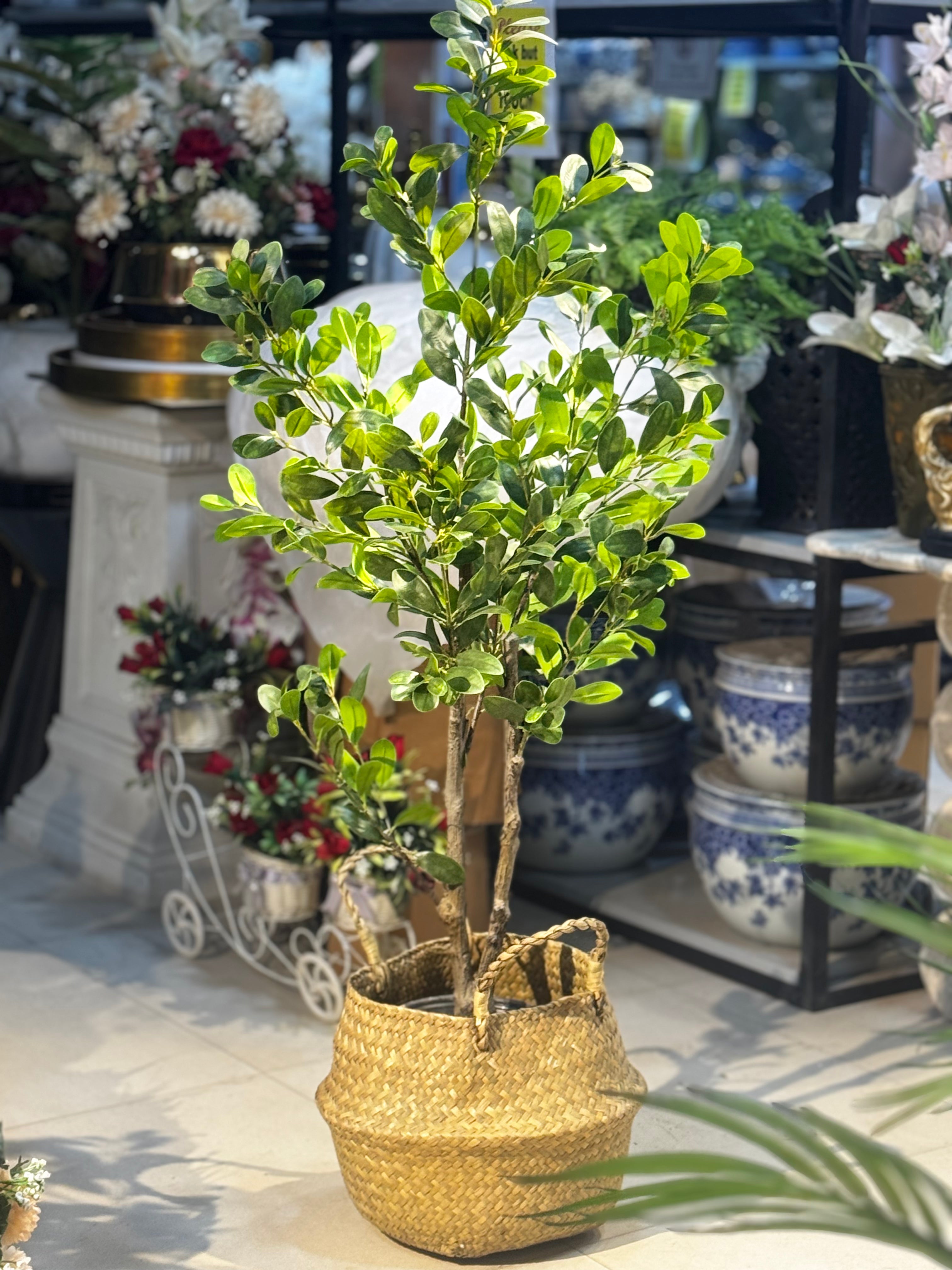 Artisanal Ficus m Floor Tree – Lifelike Mediterranean Greenery