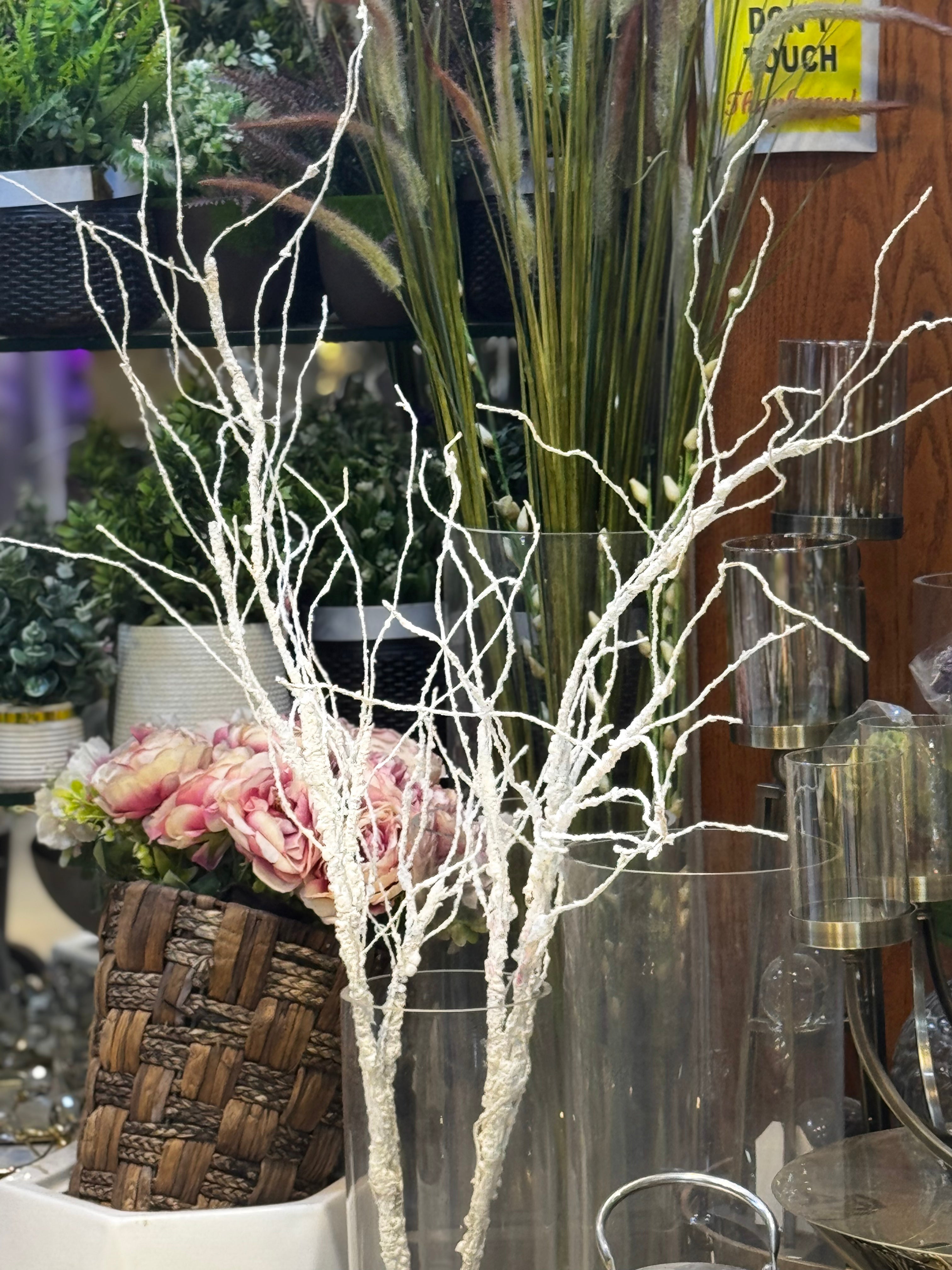 Soft Dried White Branches